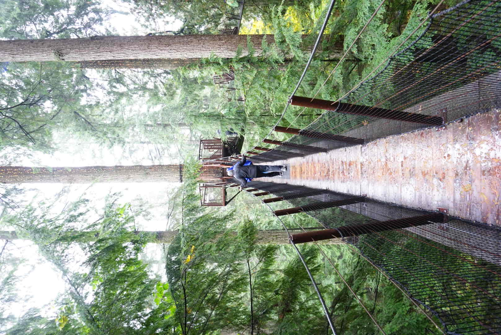 Capilano Suspension Bridge