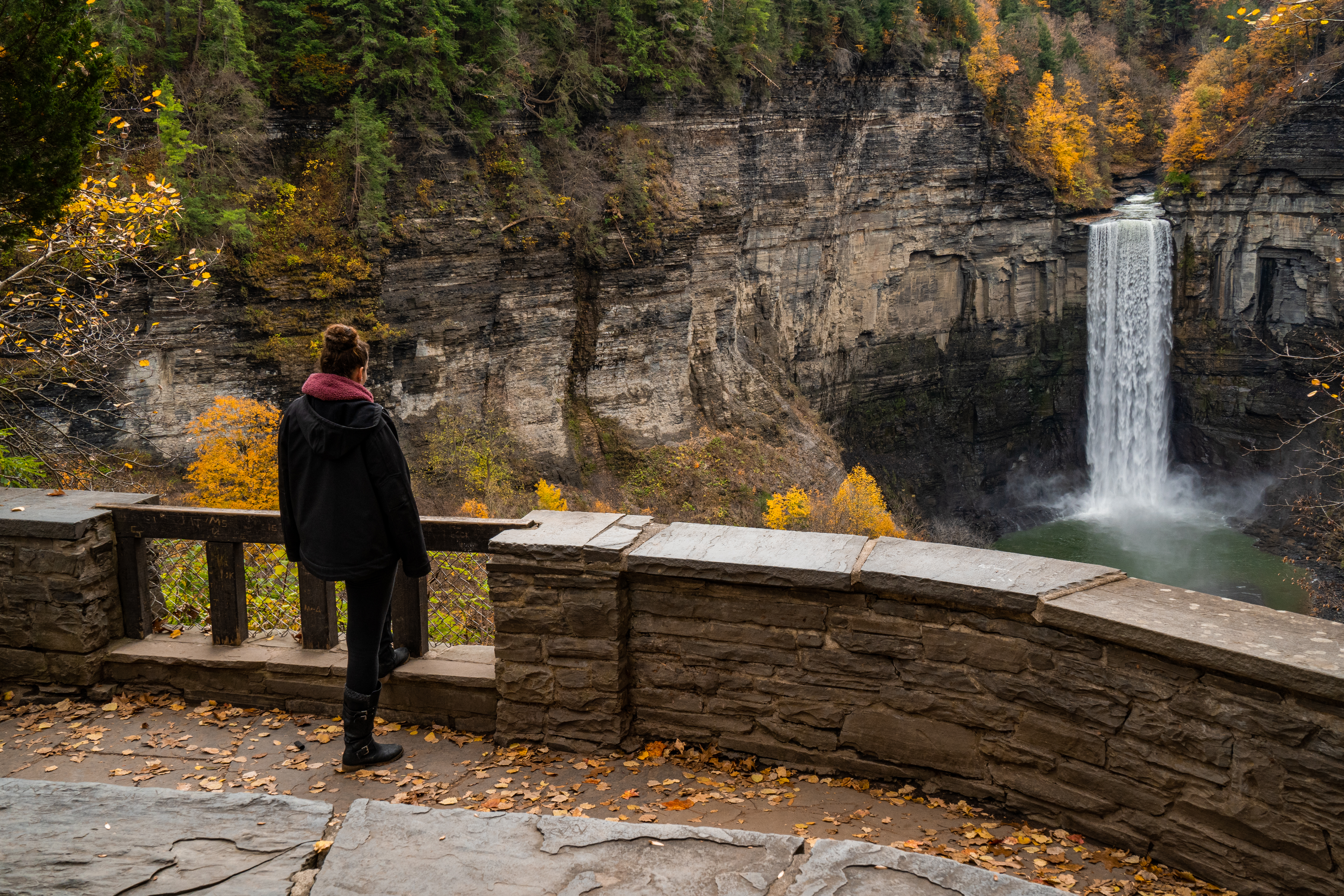 Taughannock Falls Overlook