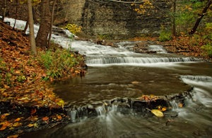 Cascadilla Falls (9 falls)