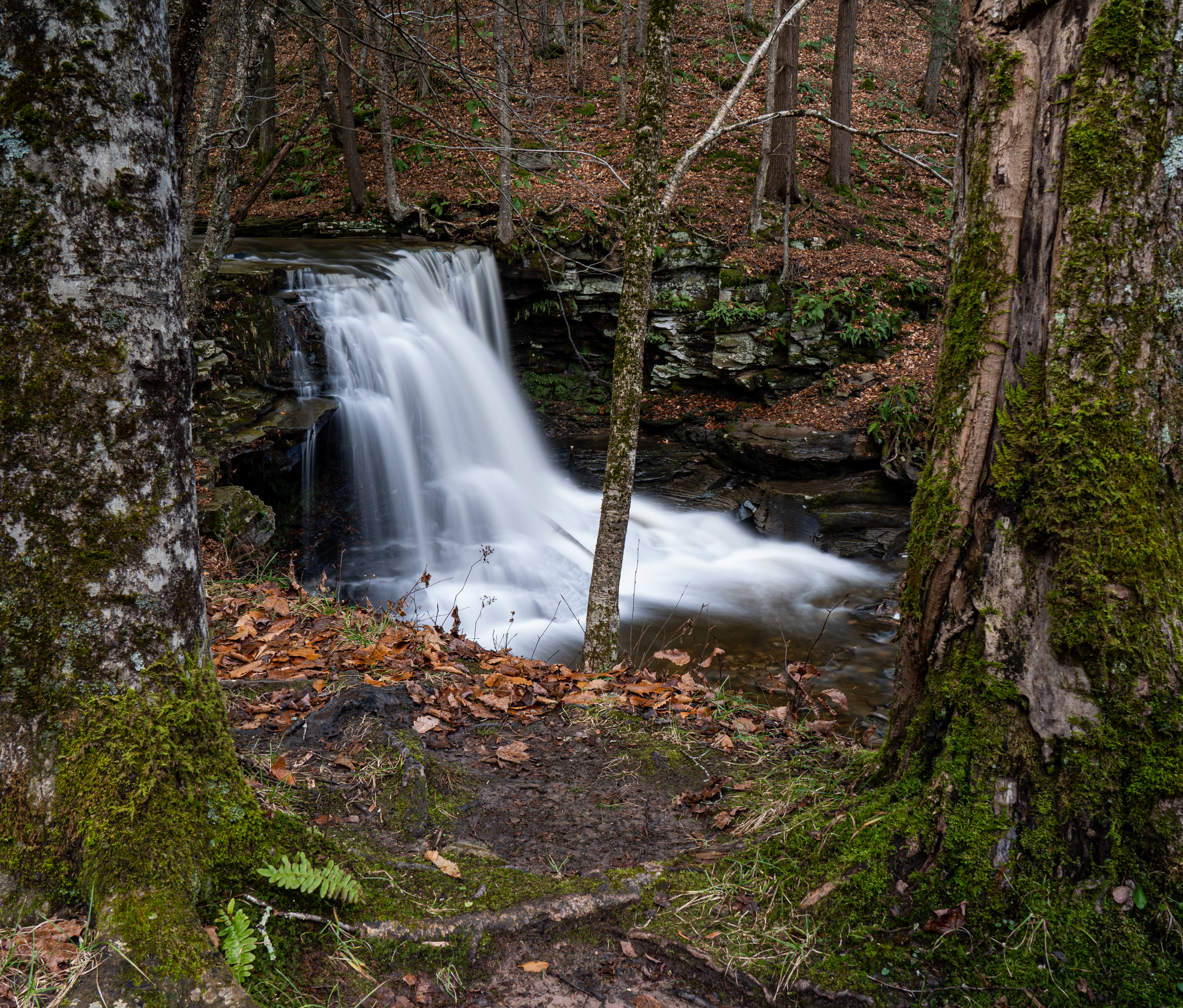 Dry Run Falls in the Loyalsock State Forest
