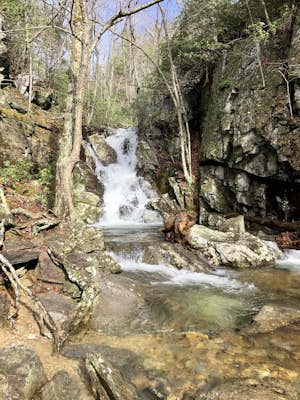 White Rock Falls Trail