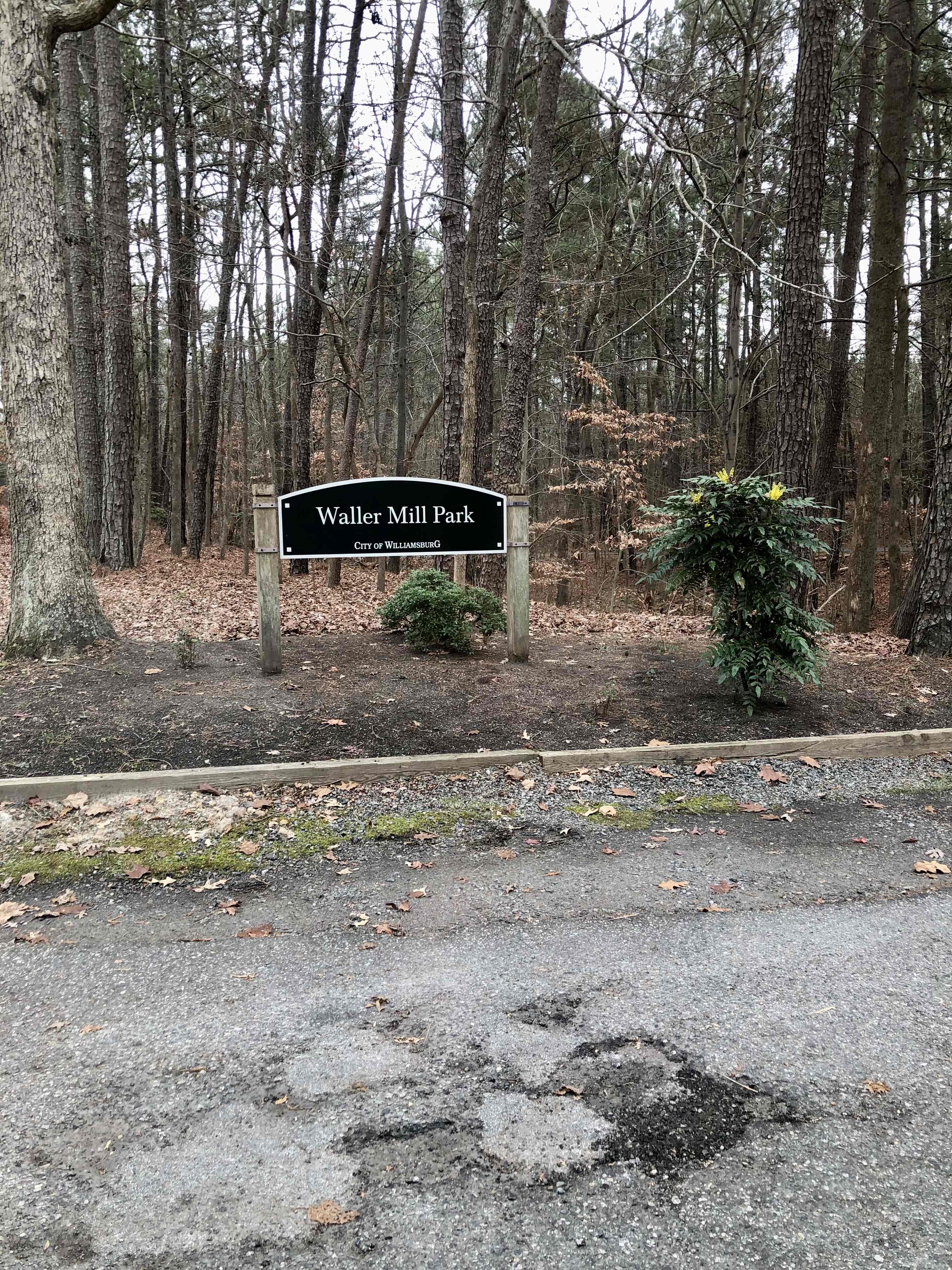 Waller Mill Reservoir & Tower Trail