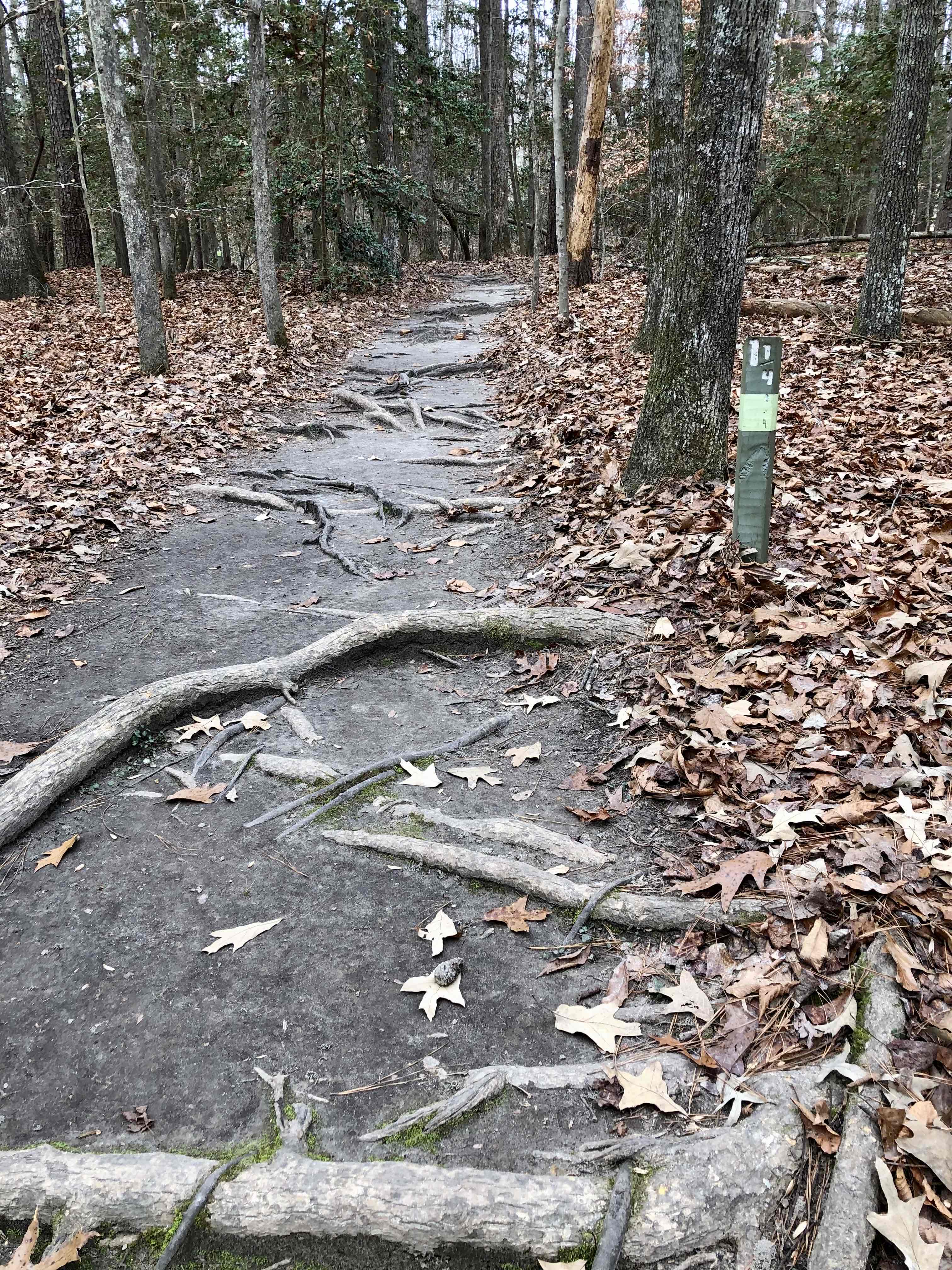 Waller Mill Reservoir & Tower Trail