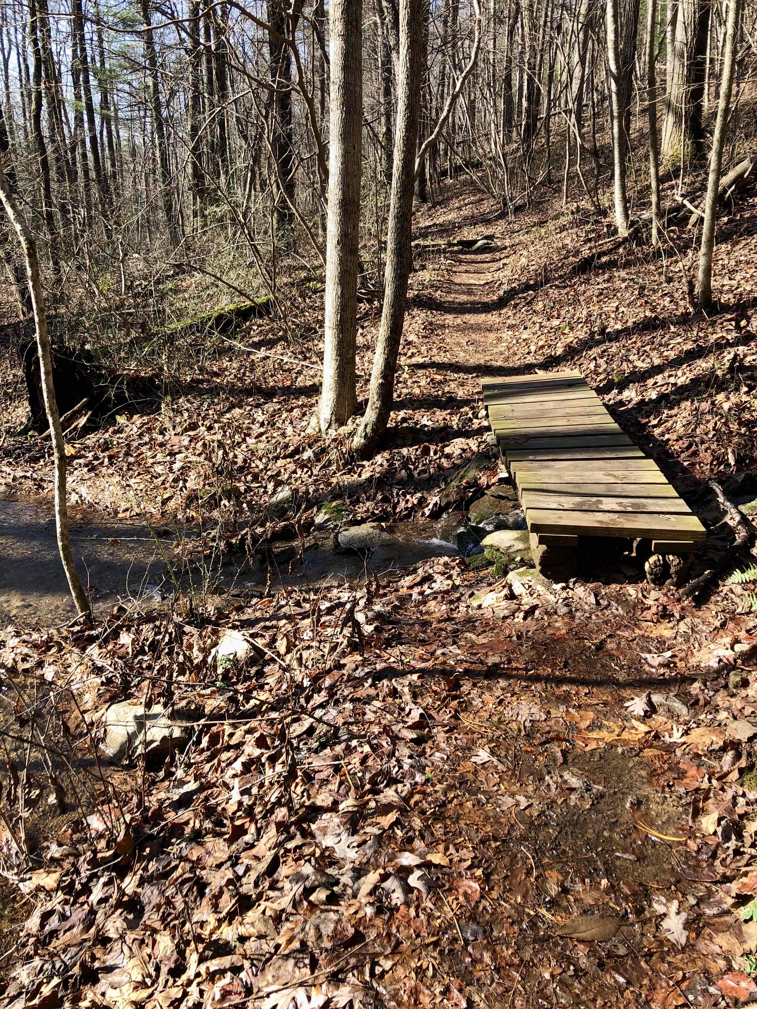 White Rock Falls Trail