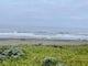 Salmon Creek State Beach