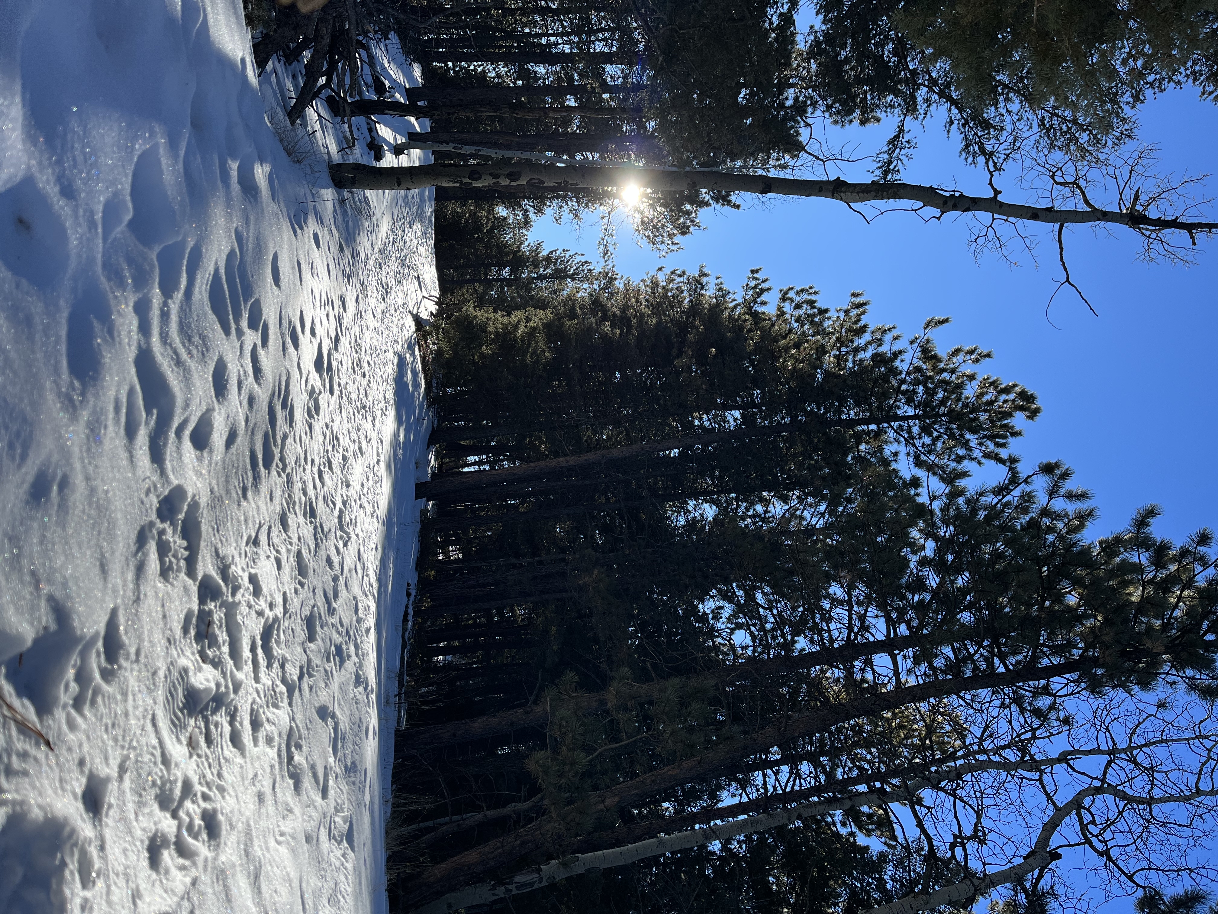 Lowell Gulch Upper and Lower Ridge Trail
