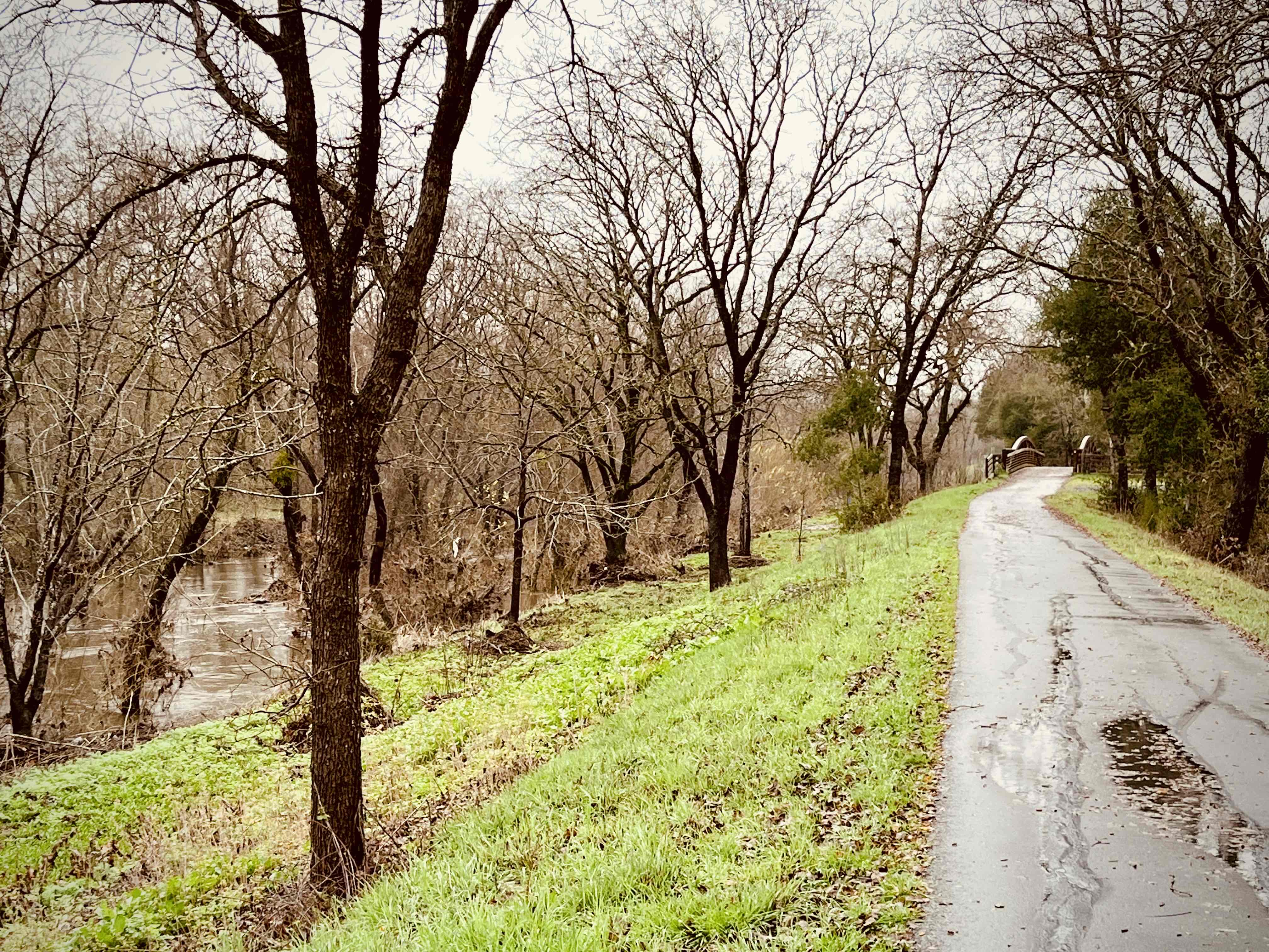 Santa Rosa Creek Trail: Willowside Road to Fulton Road