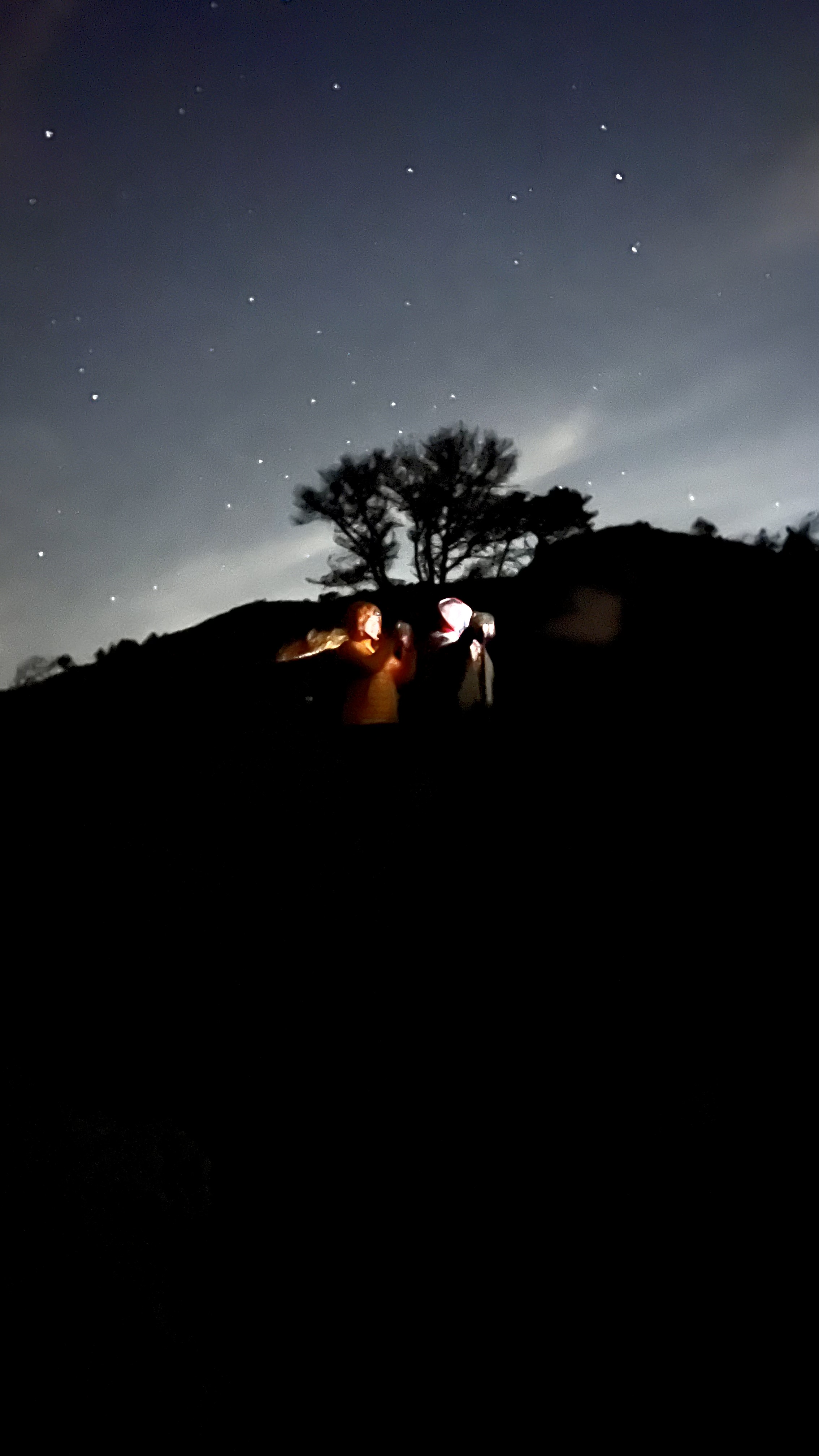 Steep Ravine Environmental Campground