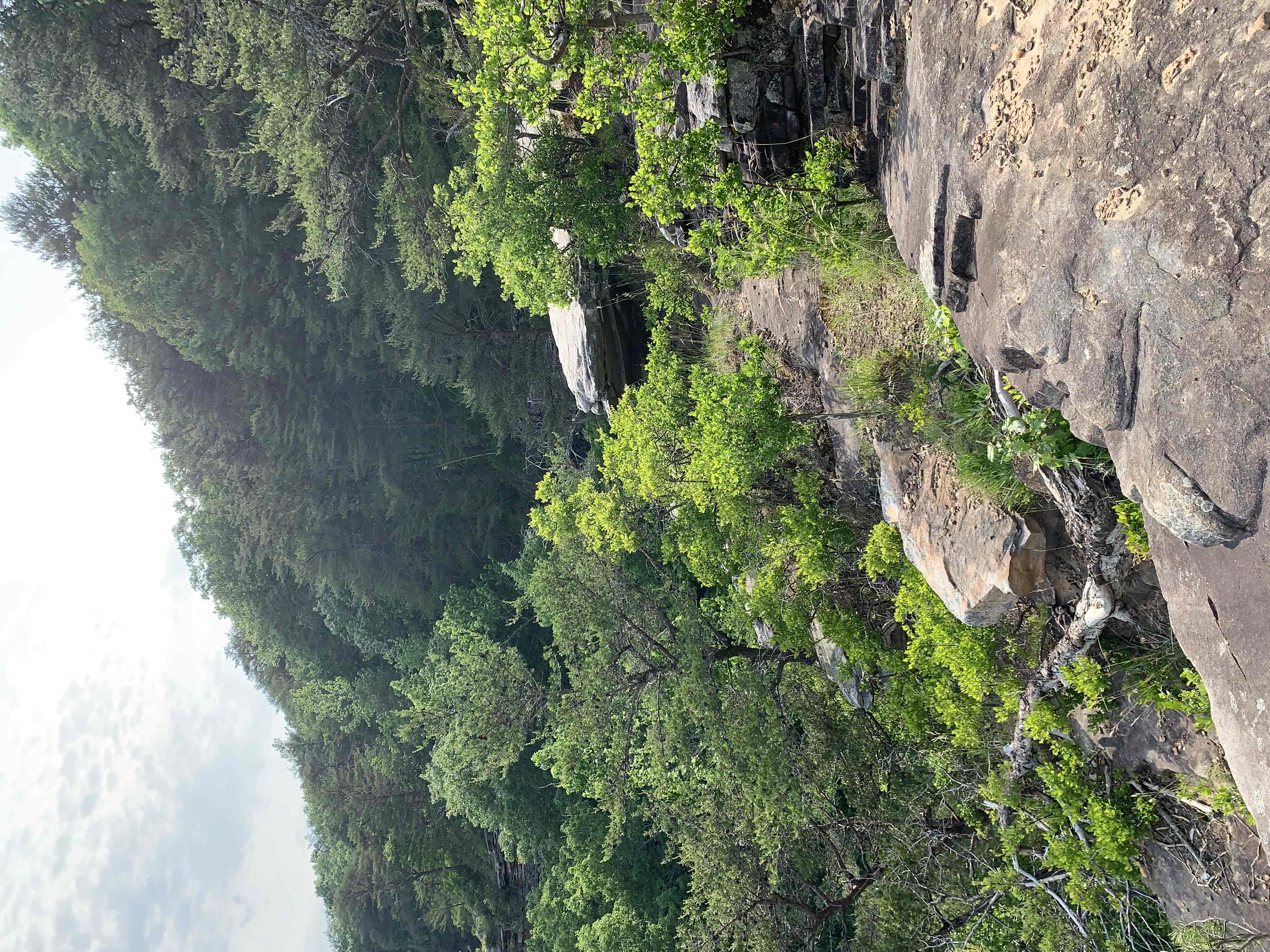 Hike to Stone Door and Alum Gap Campground