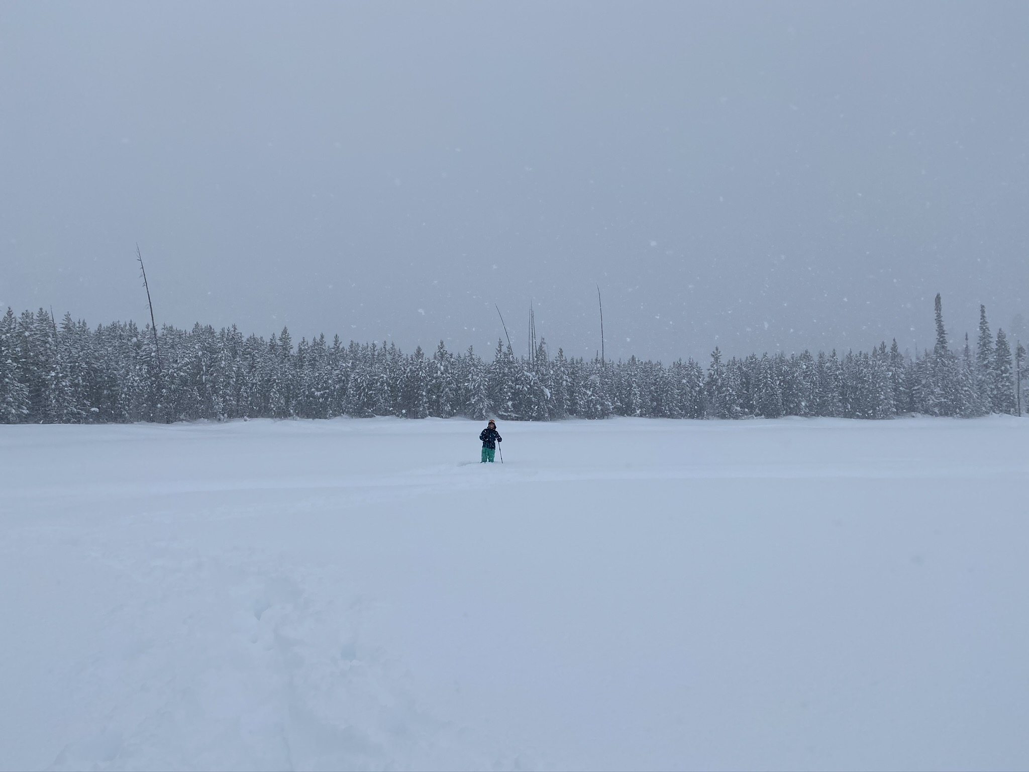 Snowshoe to Taggart Lake