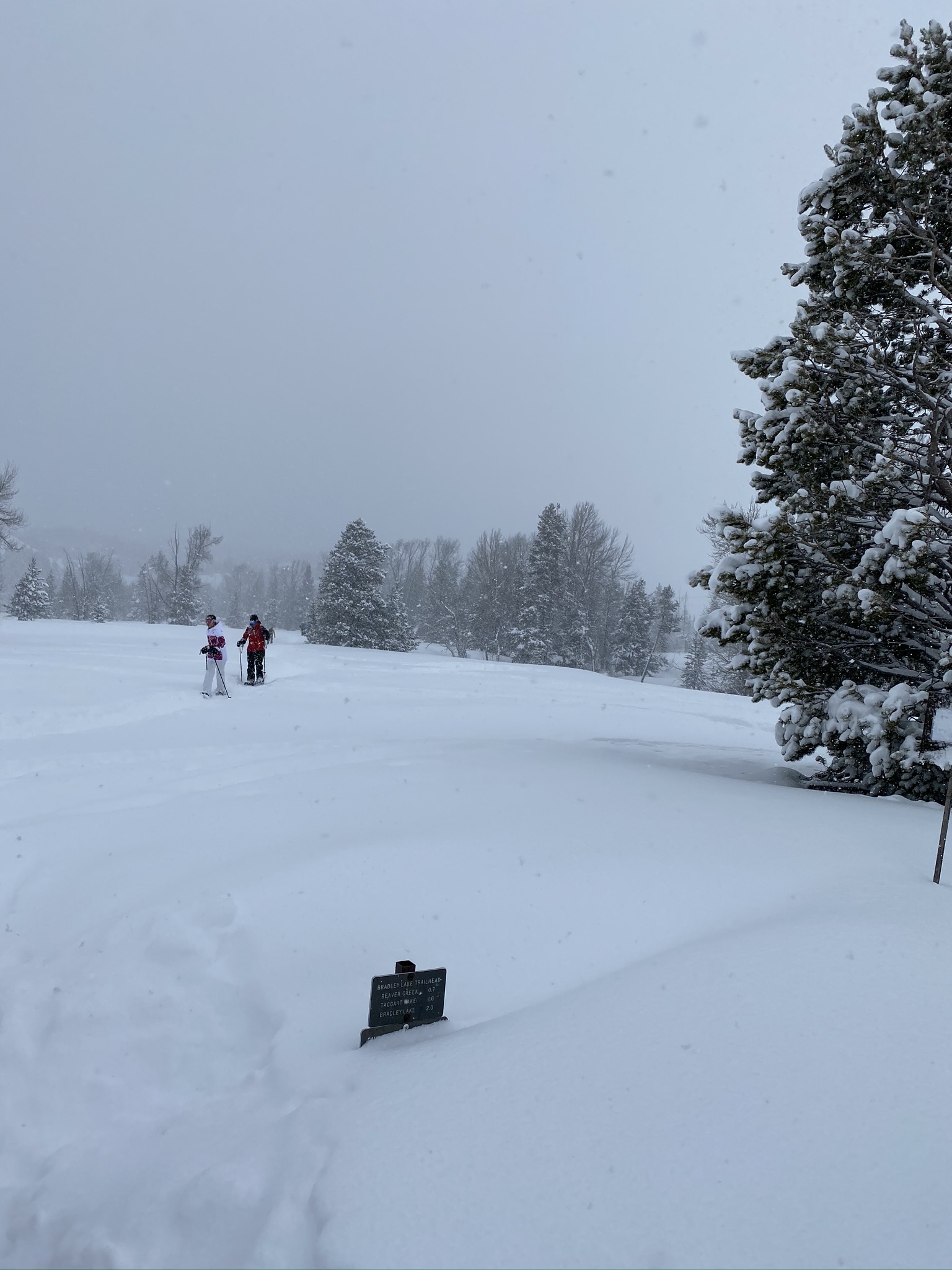 Snowshoe to Taggart Lake