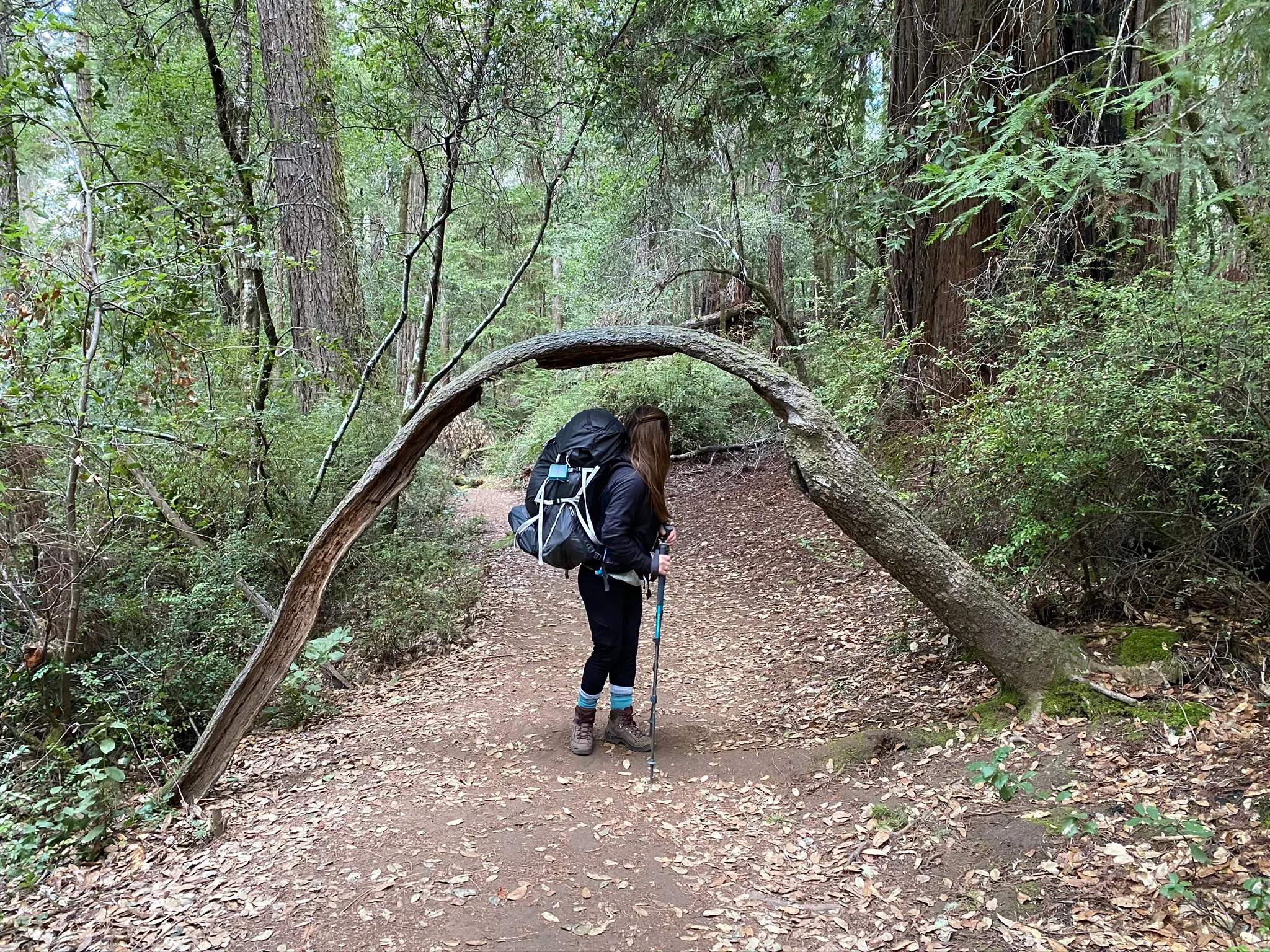 Skyline-to-the-Sea Trail
