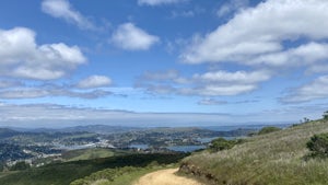 Miwok, Marincello and Bobcat Trail