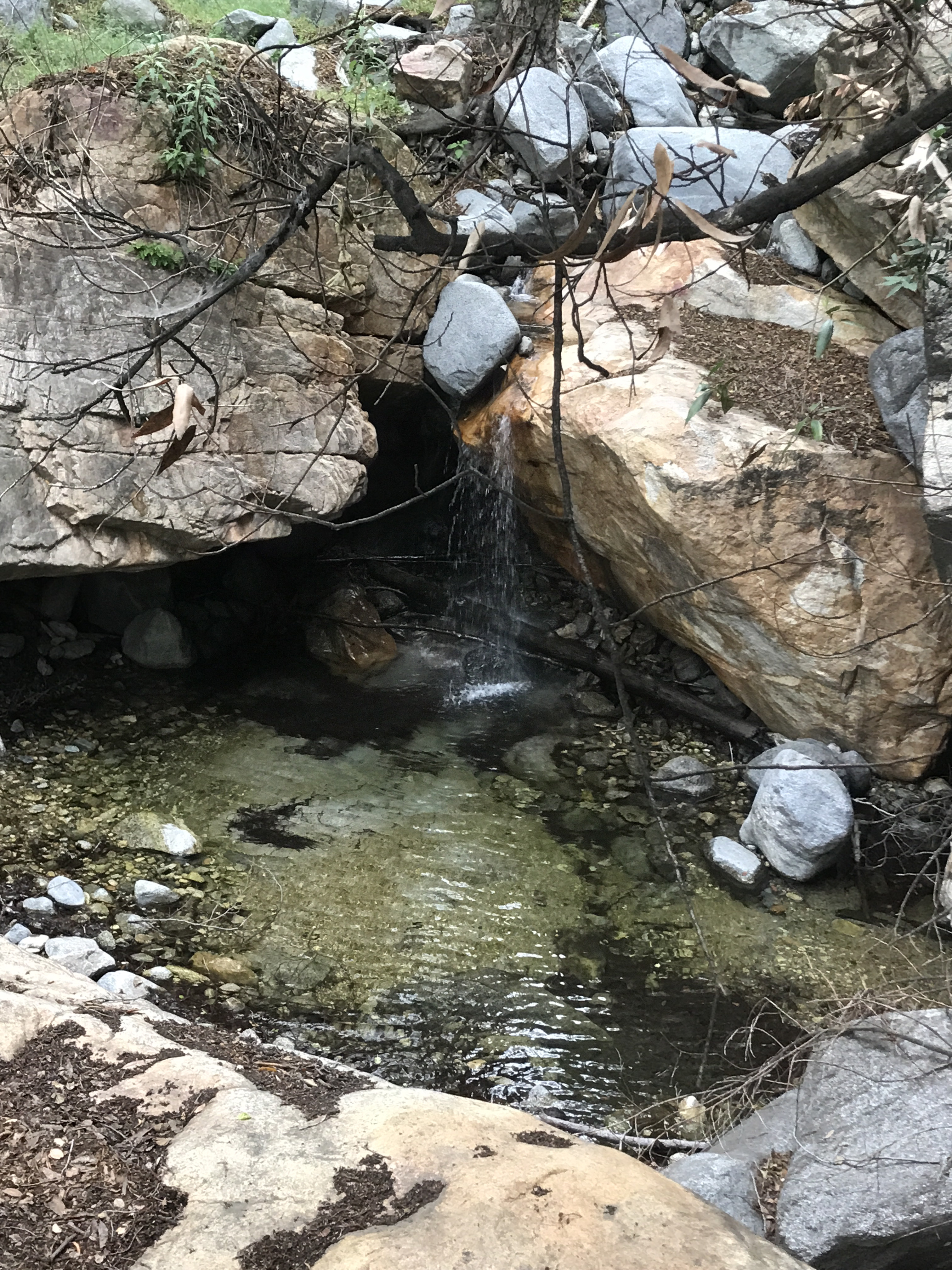 Idlehour Trail