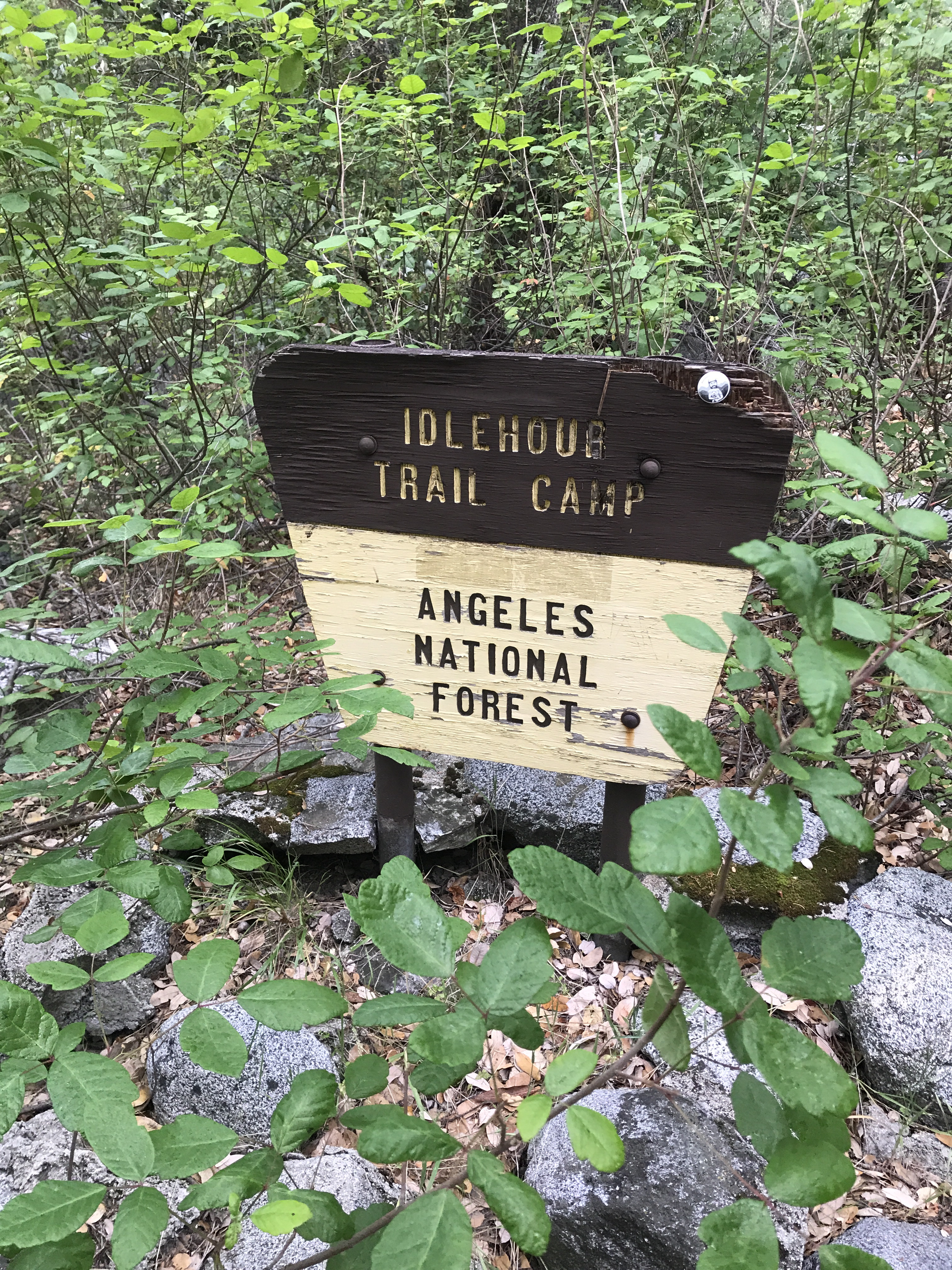Idlehour Trail