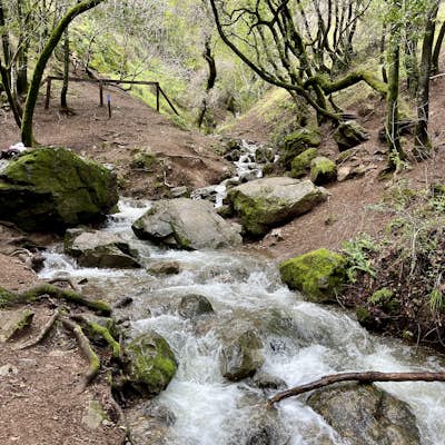 Buck Gulch Falls Trail
