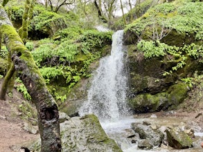 Buck Gulch Falls Trail