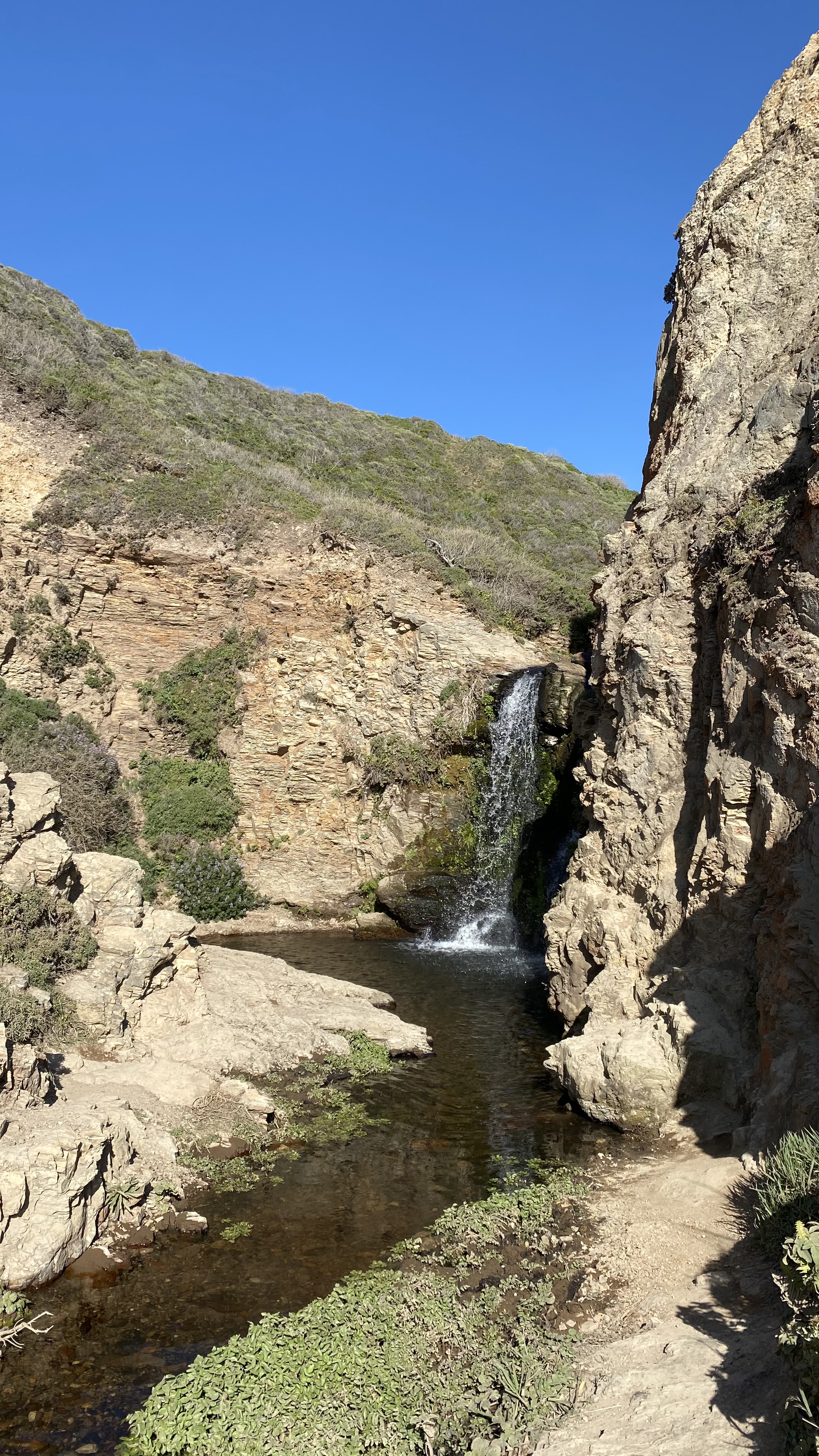 Alamere Falls via Palomarin Trailhead 