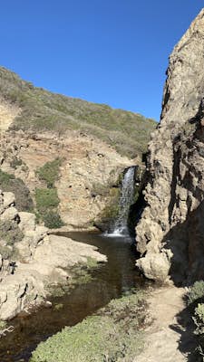 Alamere Falls via Palomarin Trailhead 
