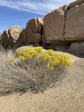 Quilliam Cave via Courthouse Rock Trail