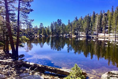 Hidden Lake via Willow Creek Trail