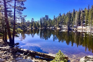 Hidden Lake via Willow Creek Trail