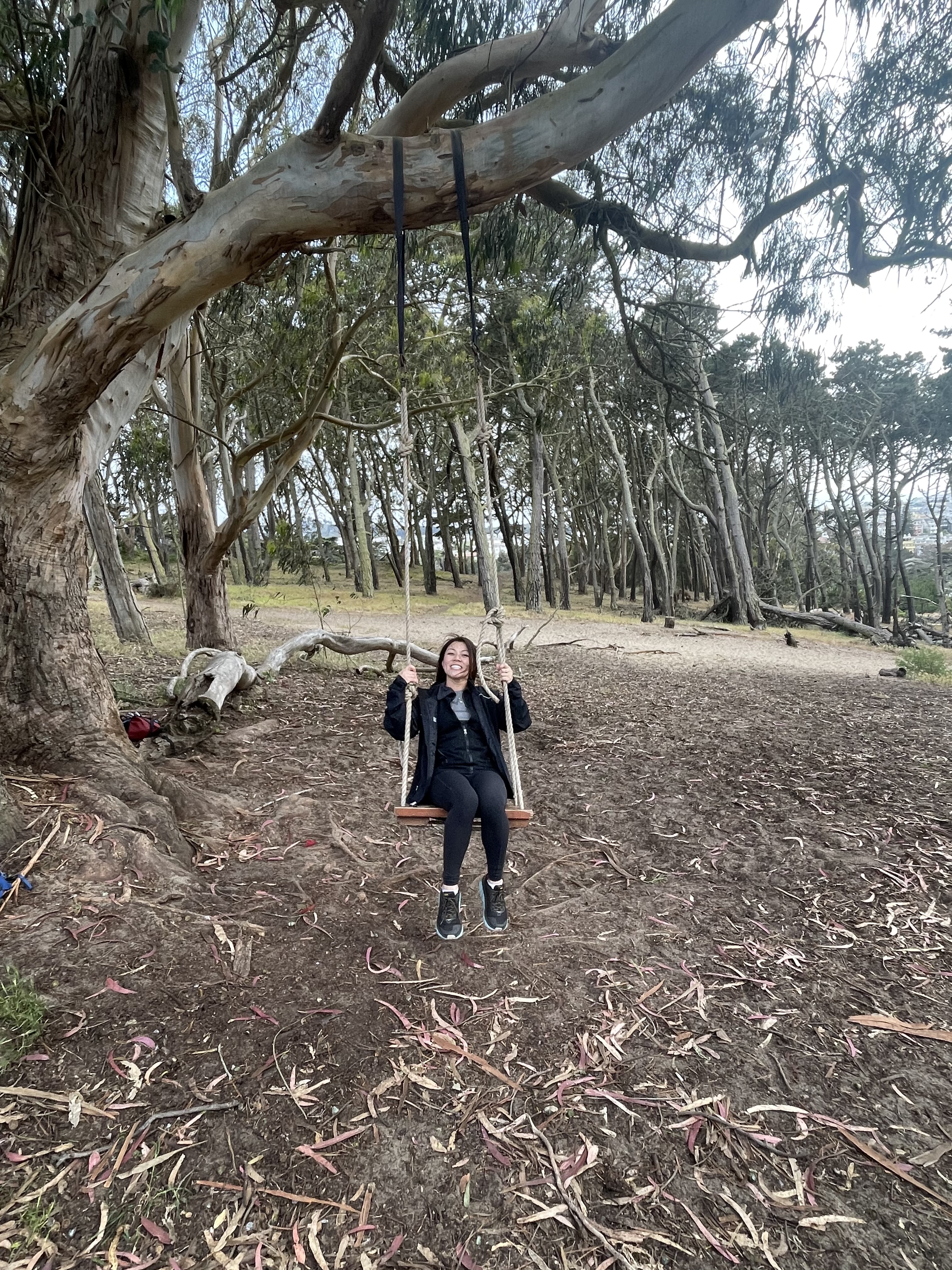 Presidio Ecology Trail