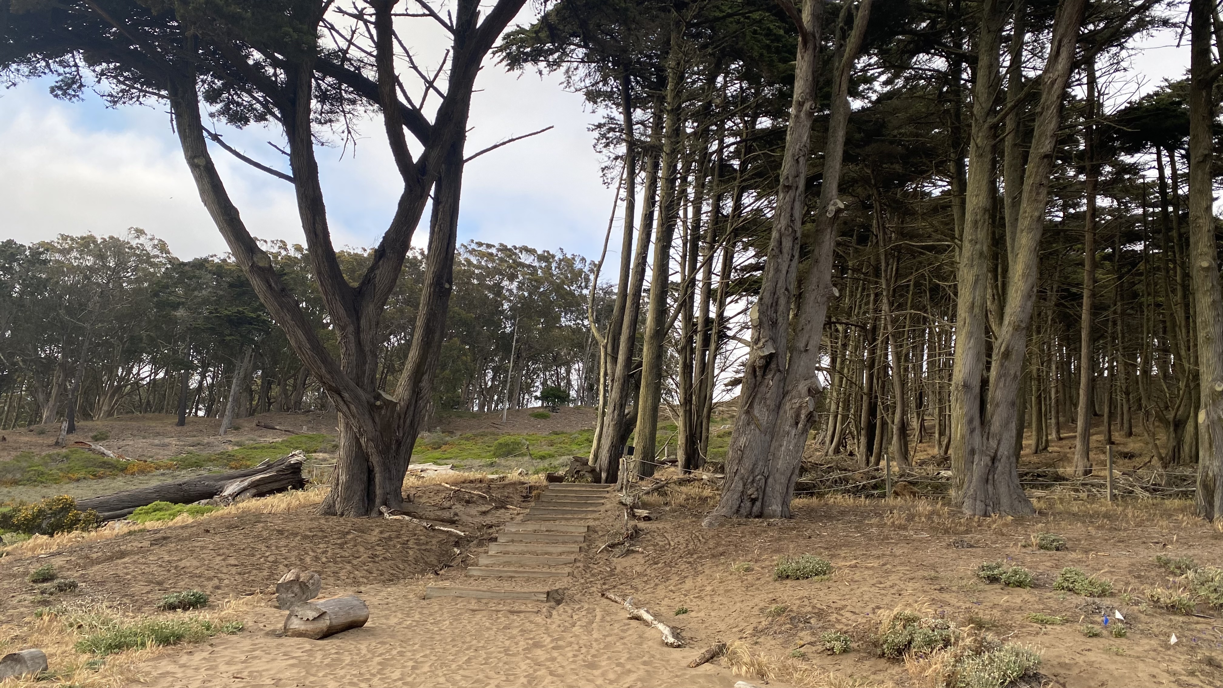 Presidio Ecology Trail
