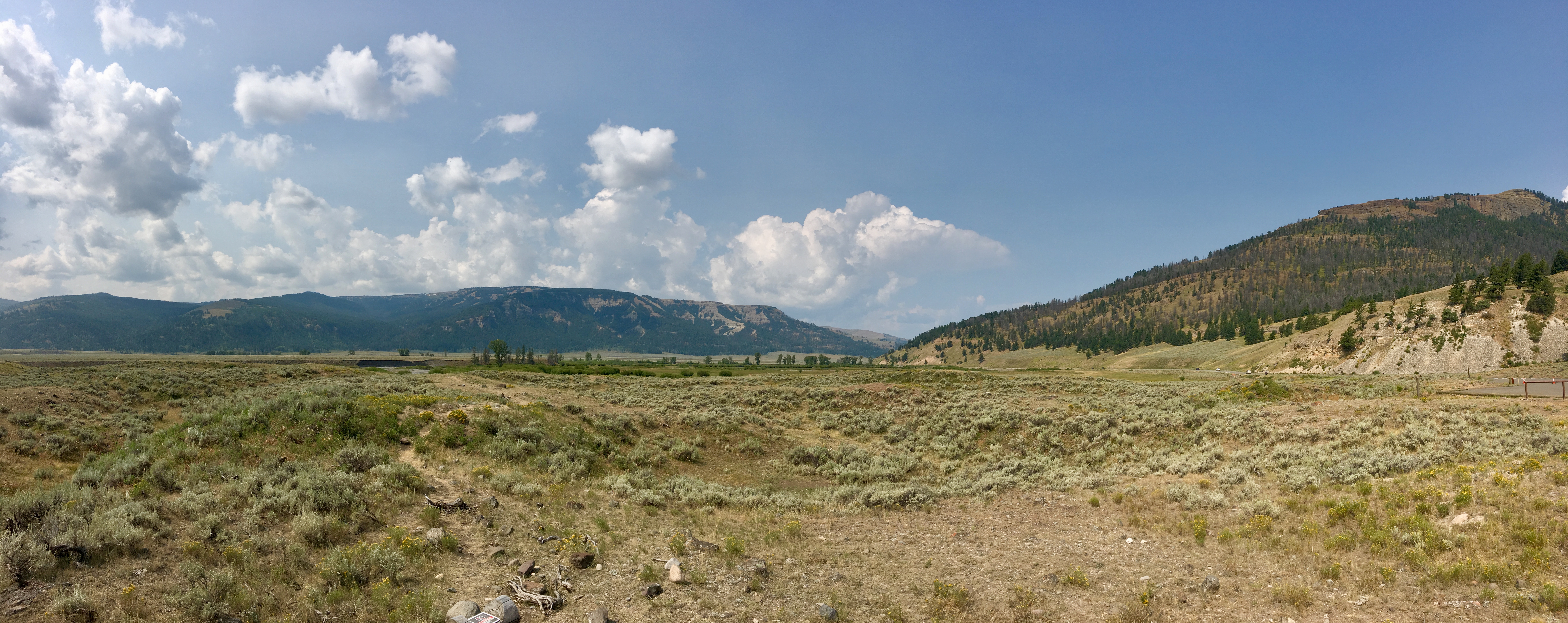 Lamar River Trail
