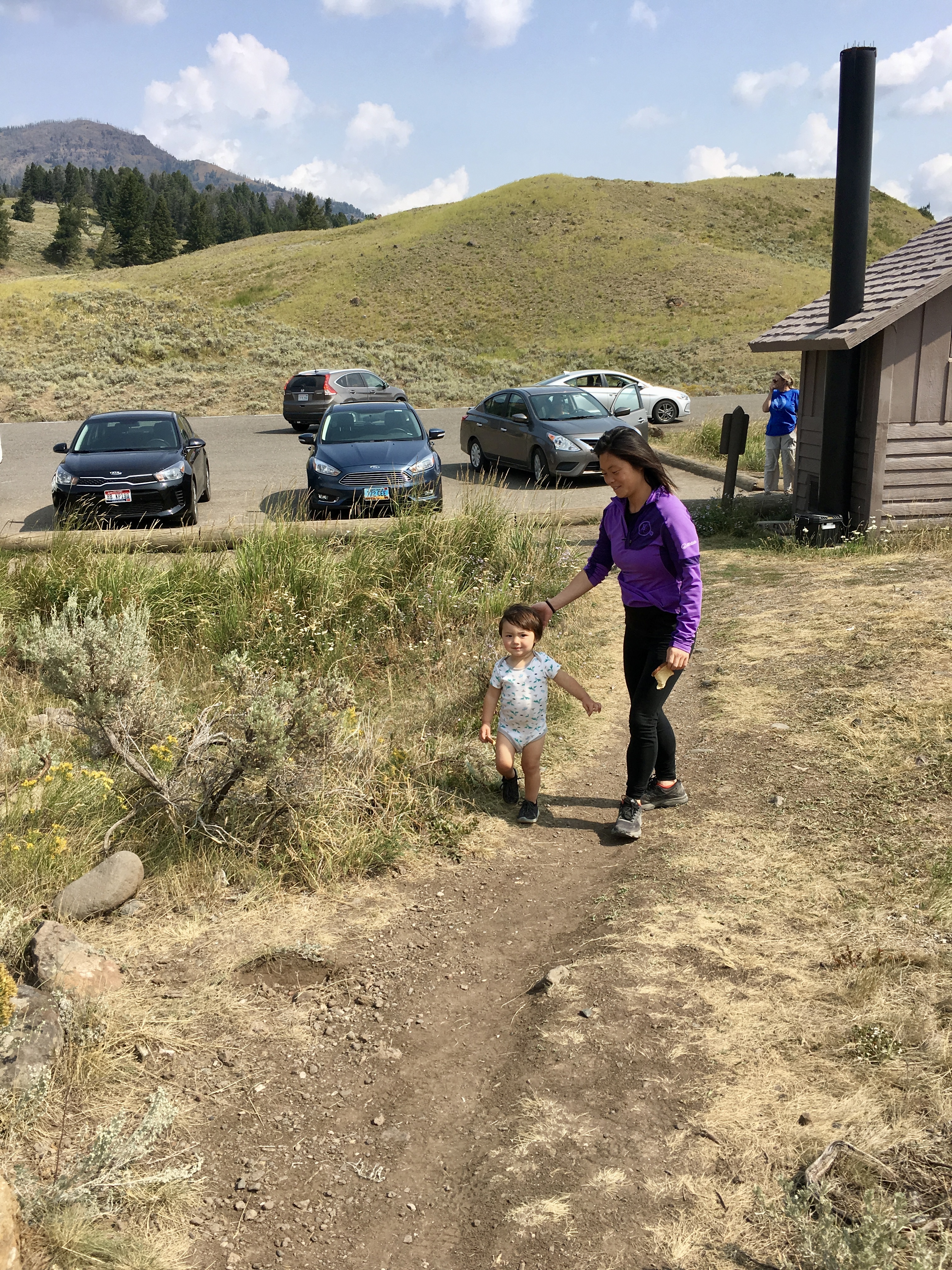 Lamar River Trail