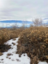 North Shield Pond Trail