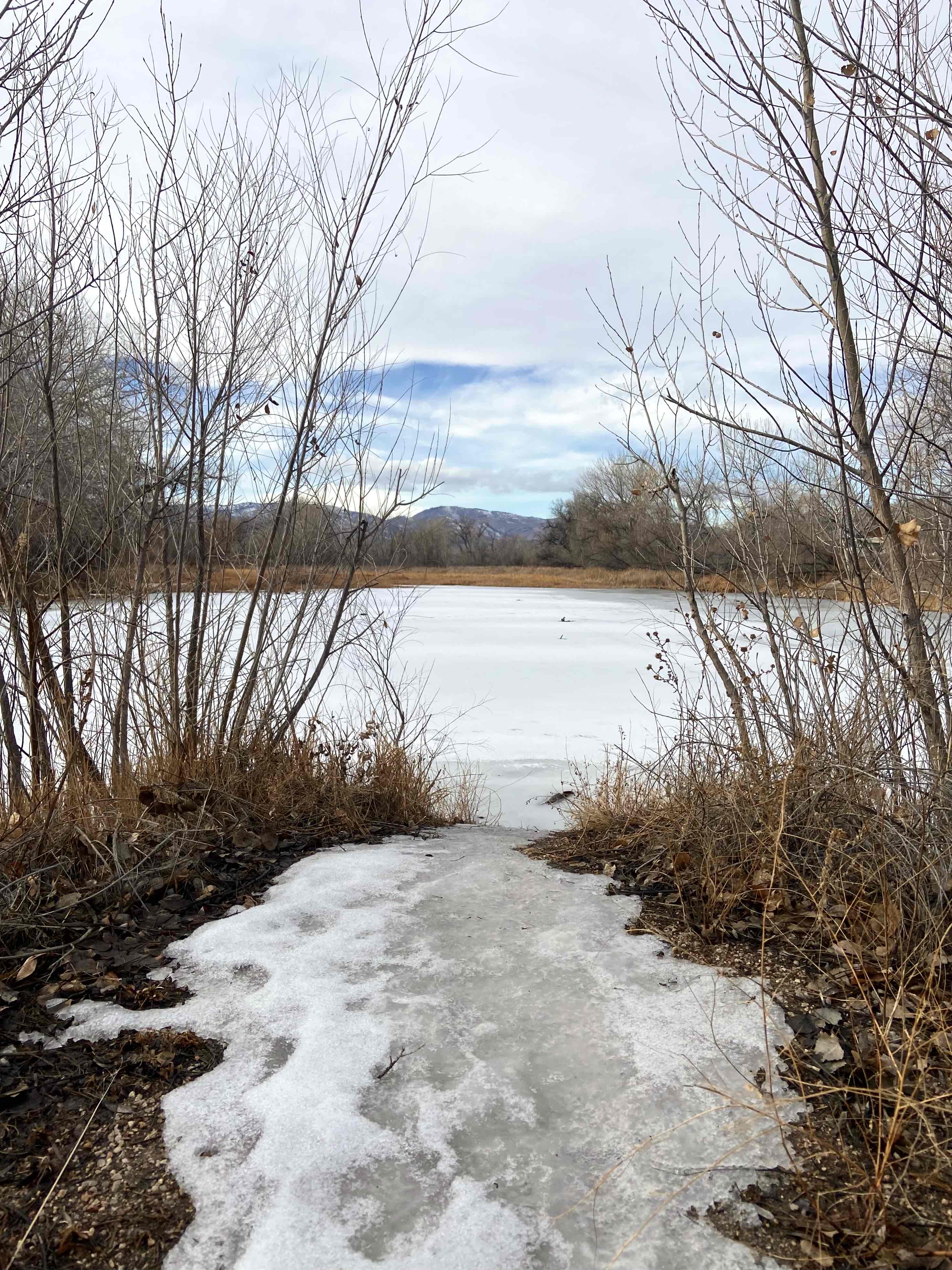 North Shield Pond Trail