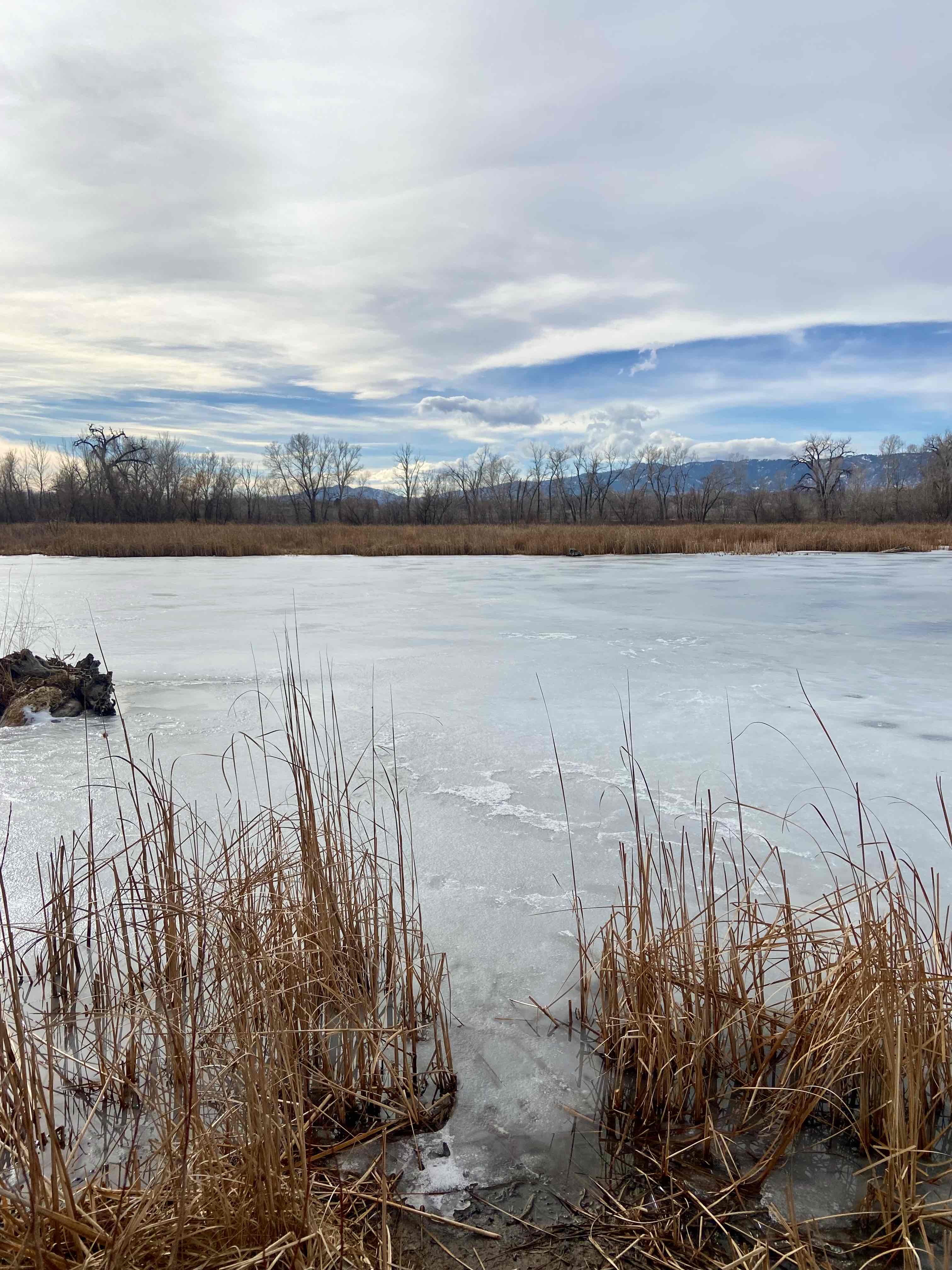 North Shield Pond Trail