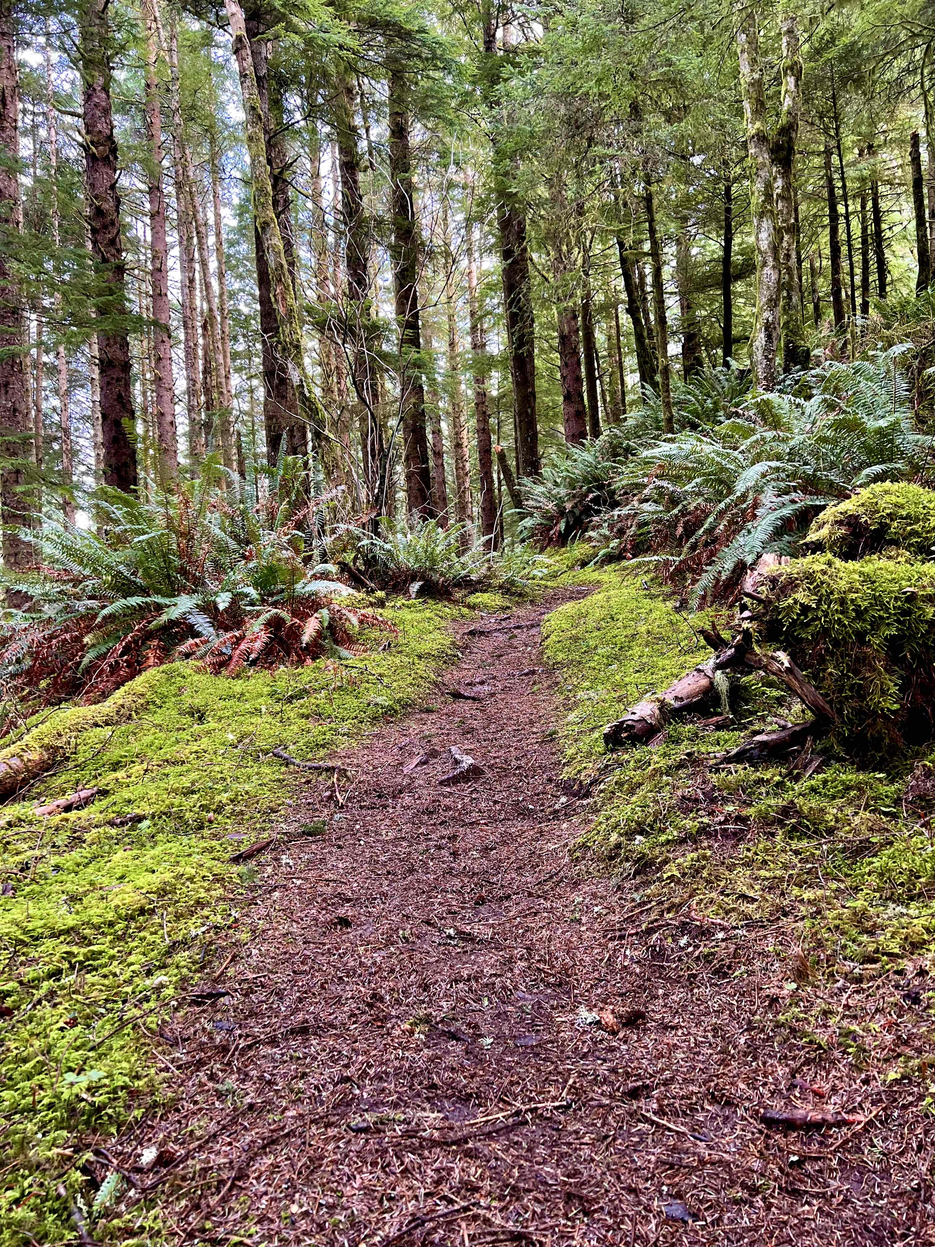 Amanda's Trail