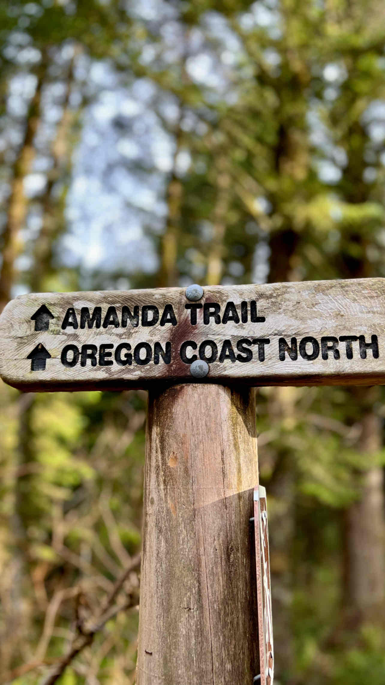 Amanda's Trail