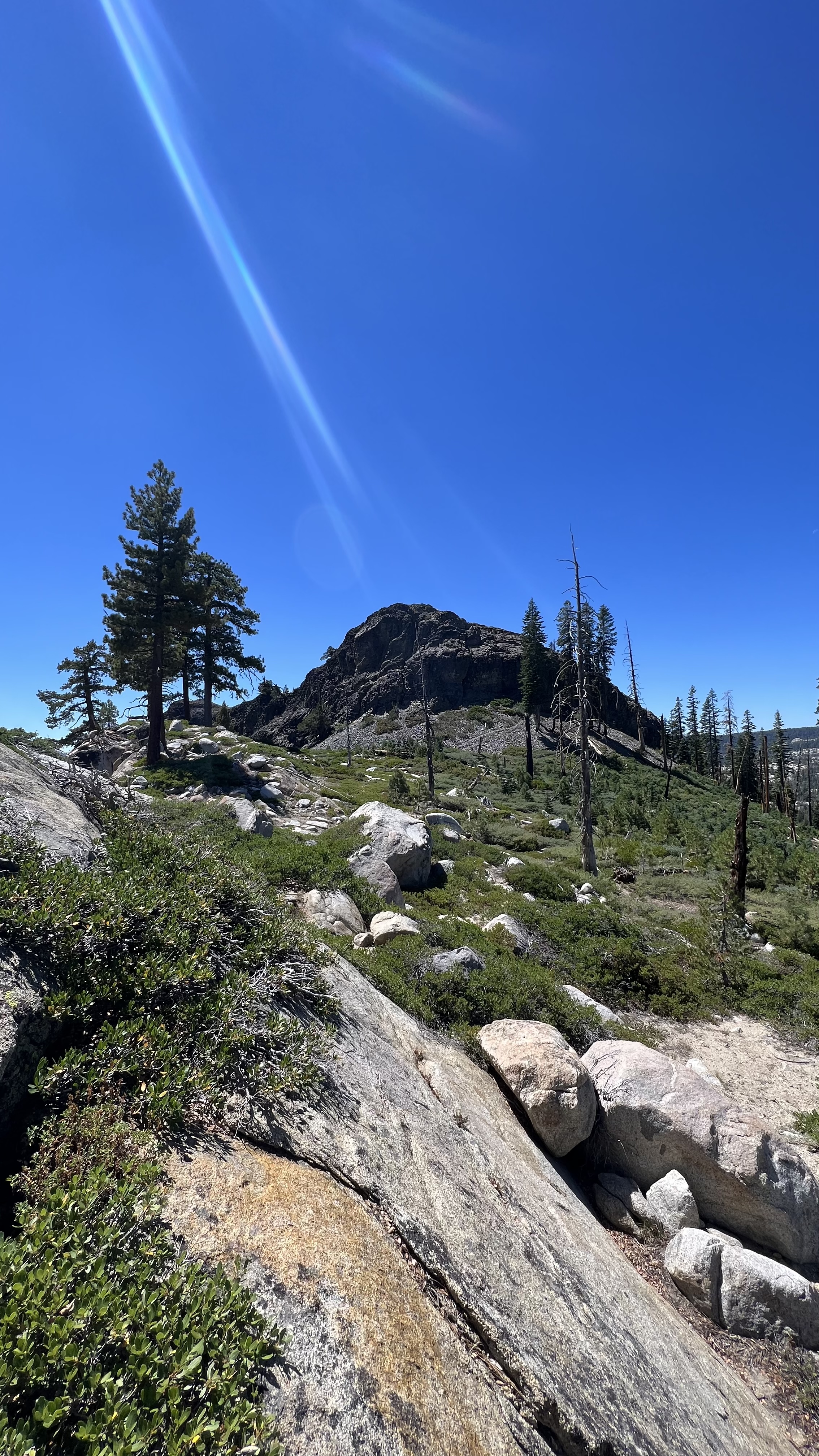 Upper Gardner Meadow via Highland Lakes Trail