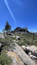 Upper Gardner Meadow via Highland Lakes Trail