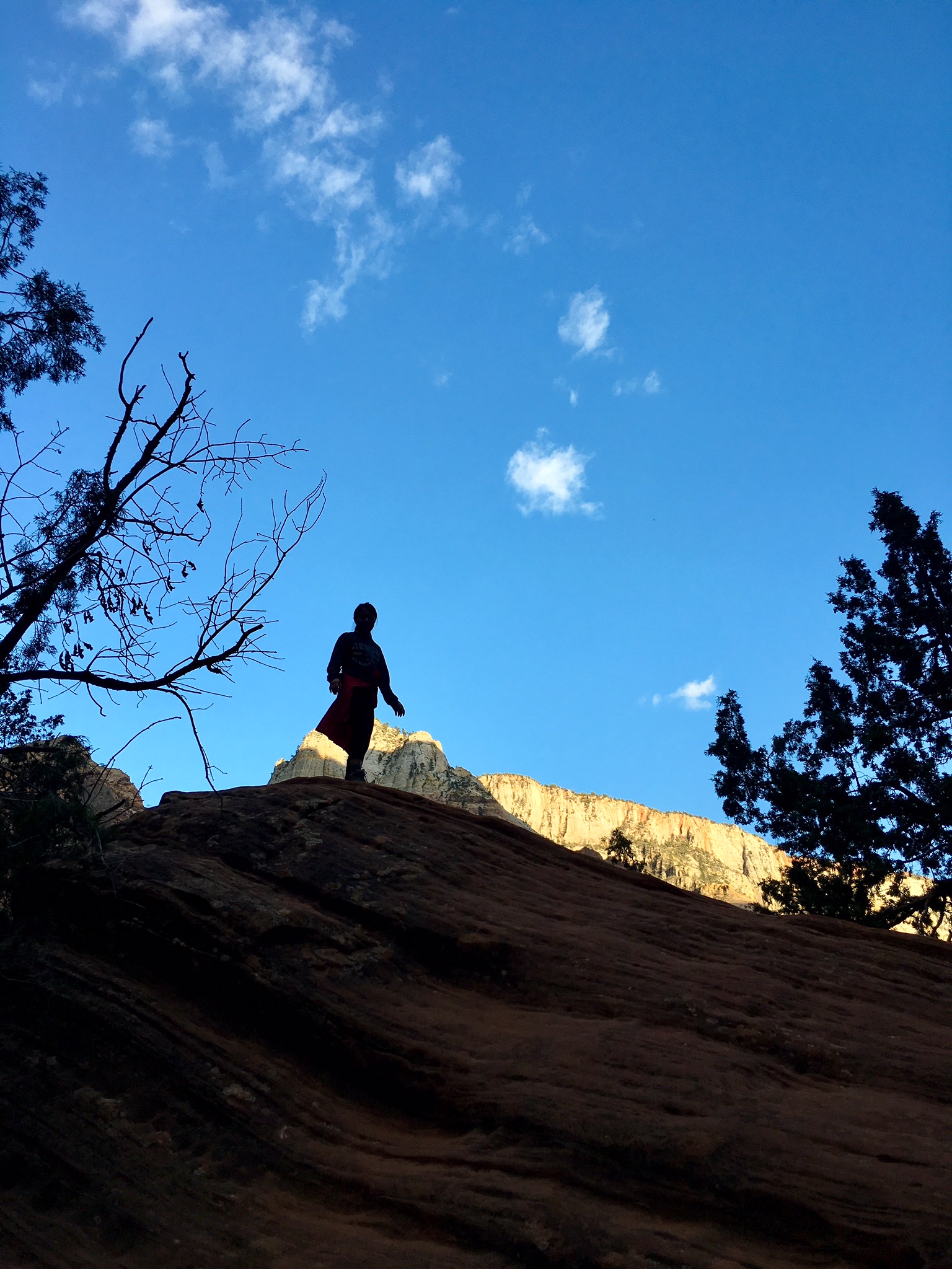 Lower Emerald Pool Trail