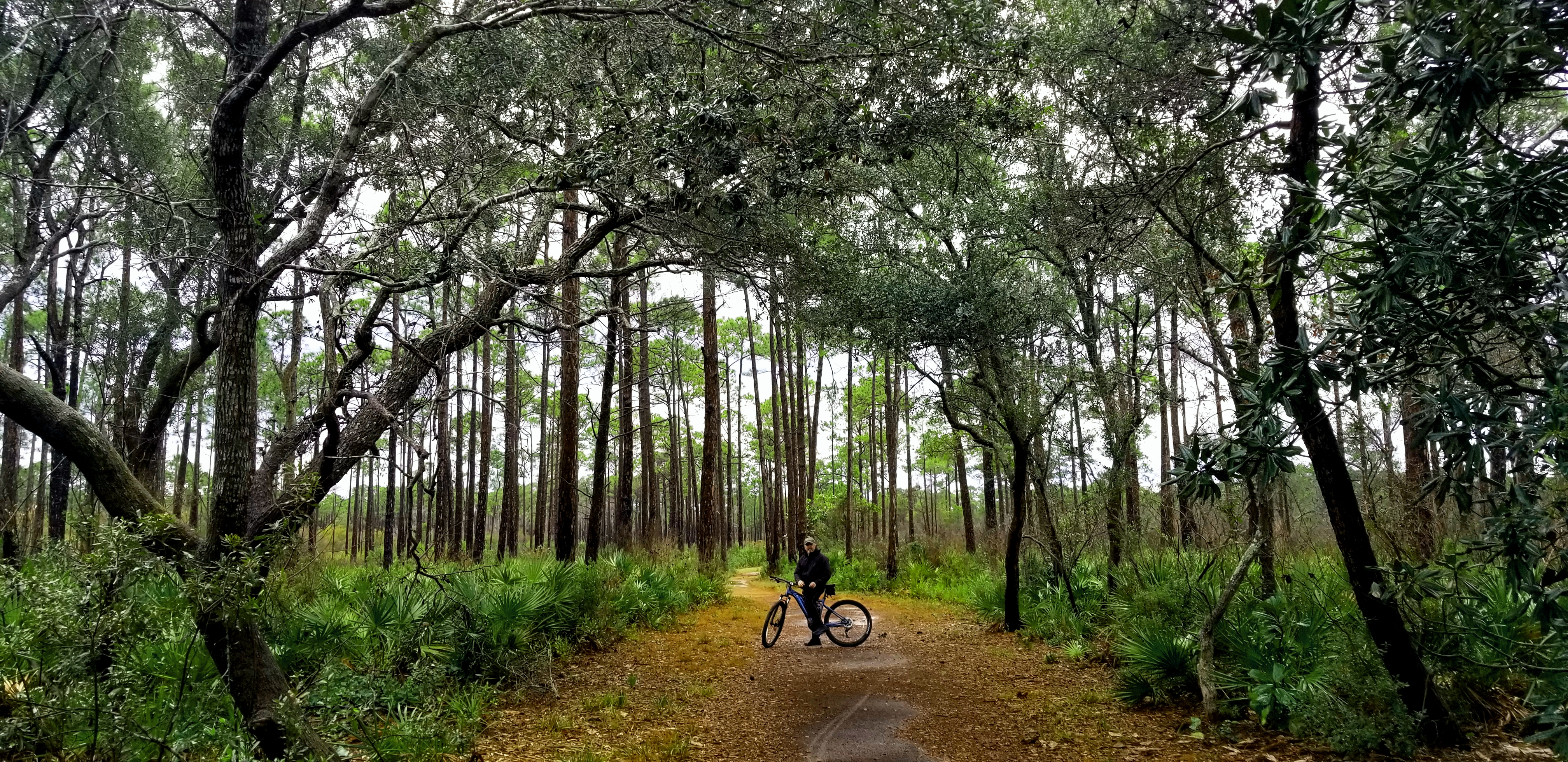 Topsail Trails