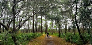 Topsail Trails