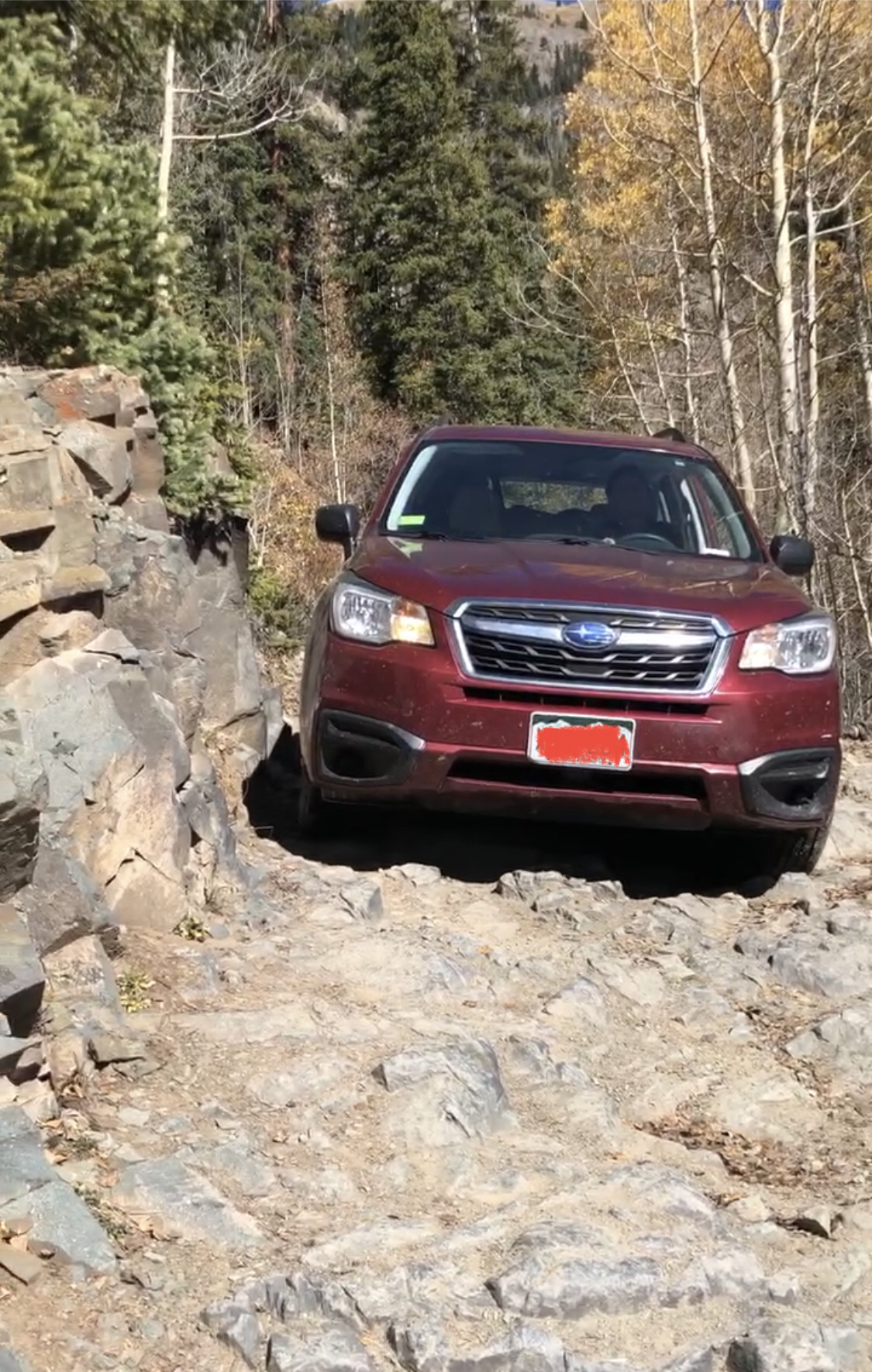 Mineral Creek OHV Trail