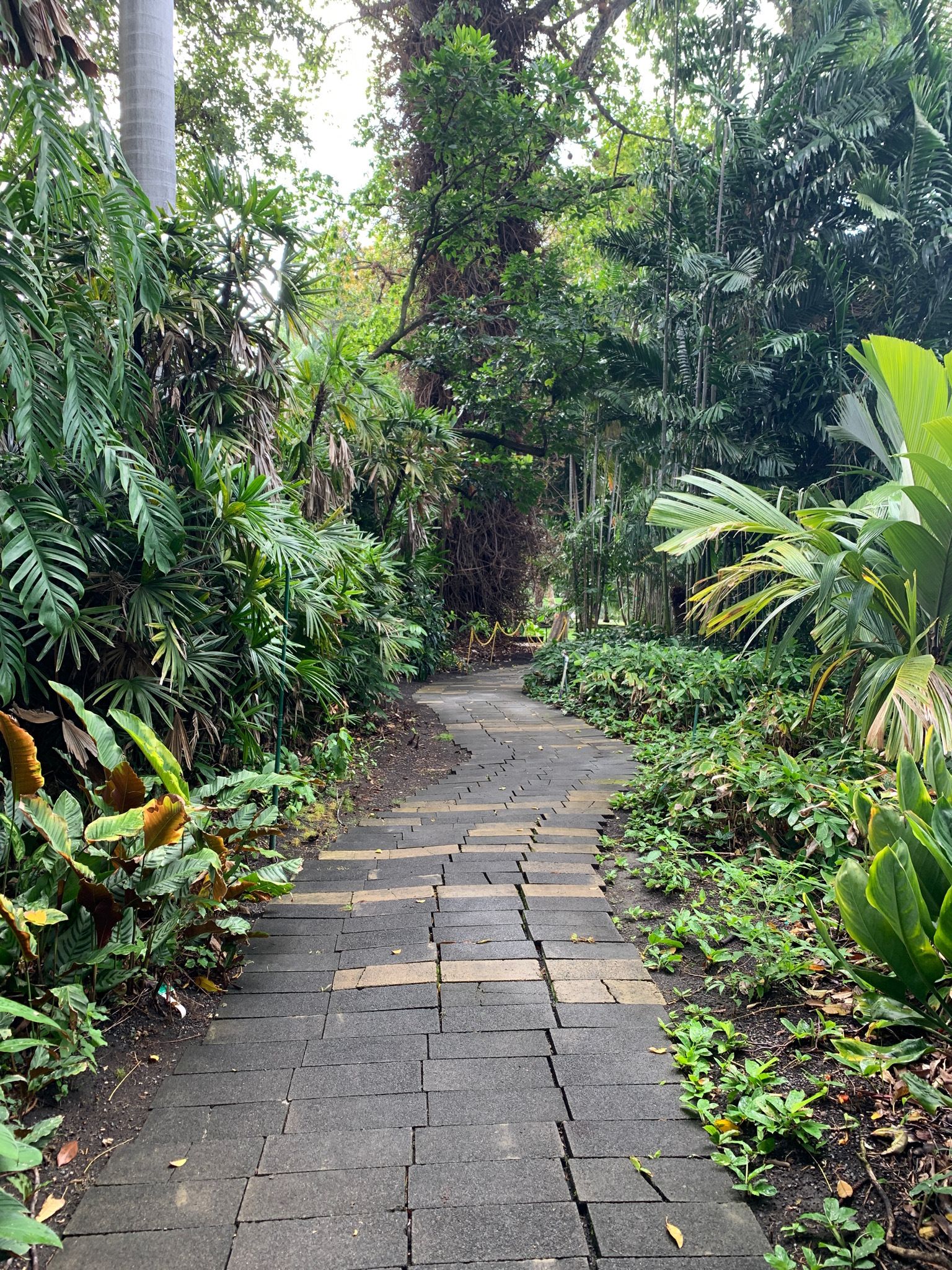 Foster Botanical Garden