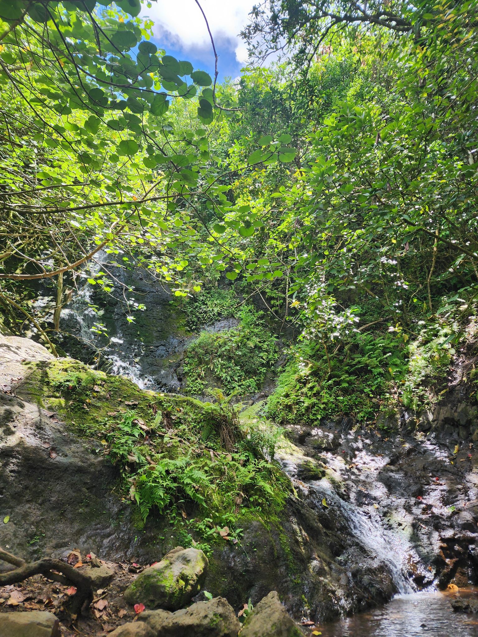 Likeke Falls Trail