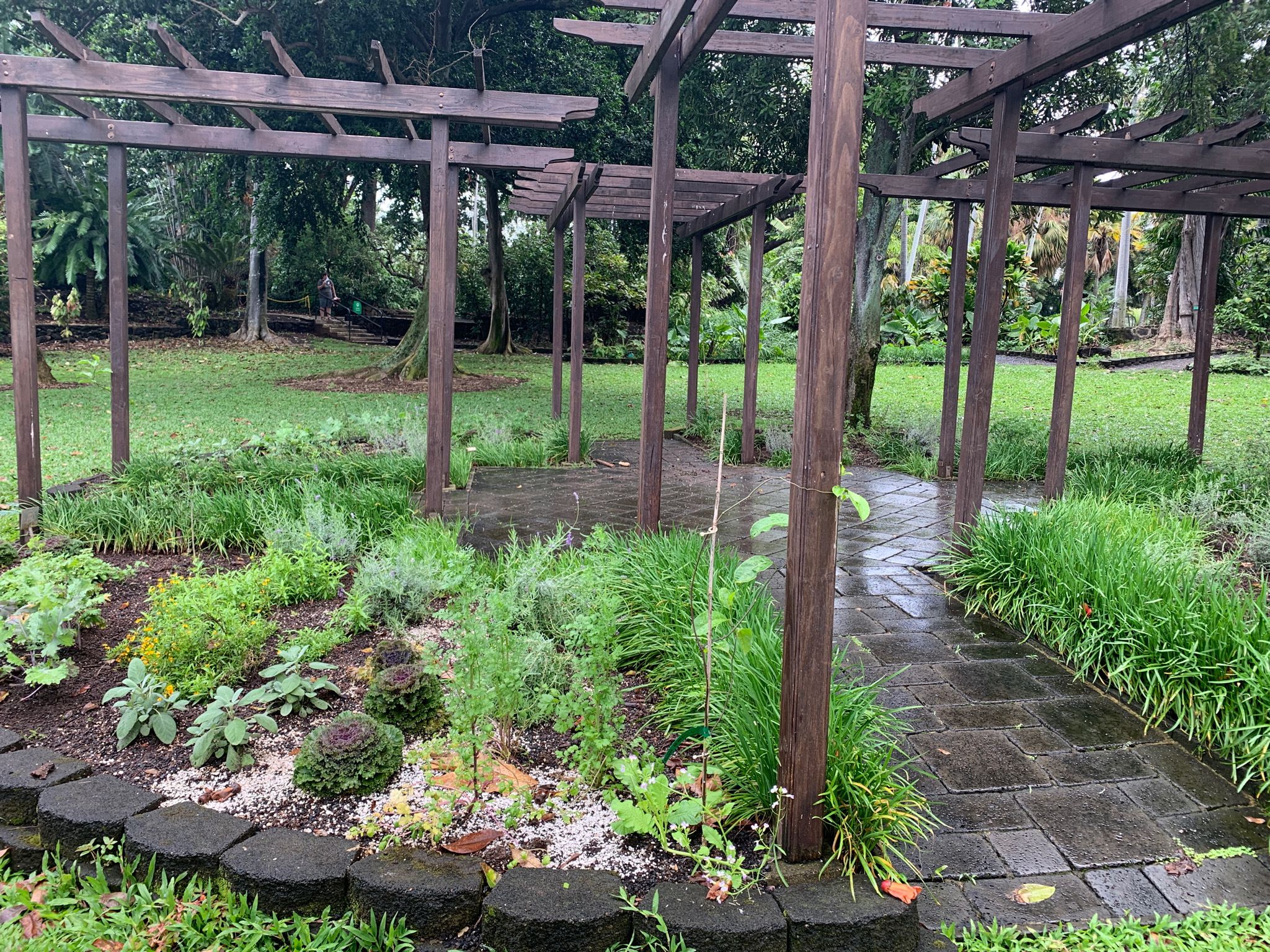 Foster Botanical Garden