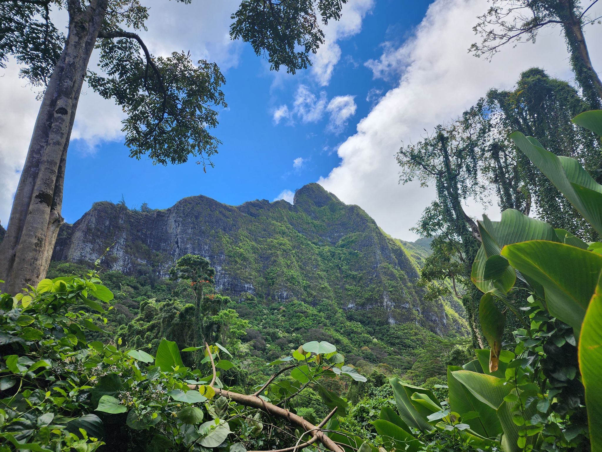 Likeke Falls Trail