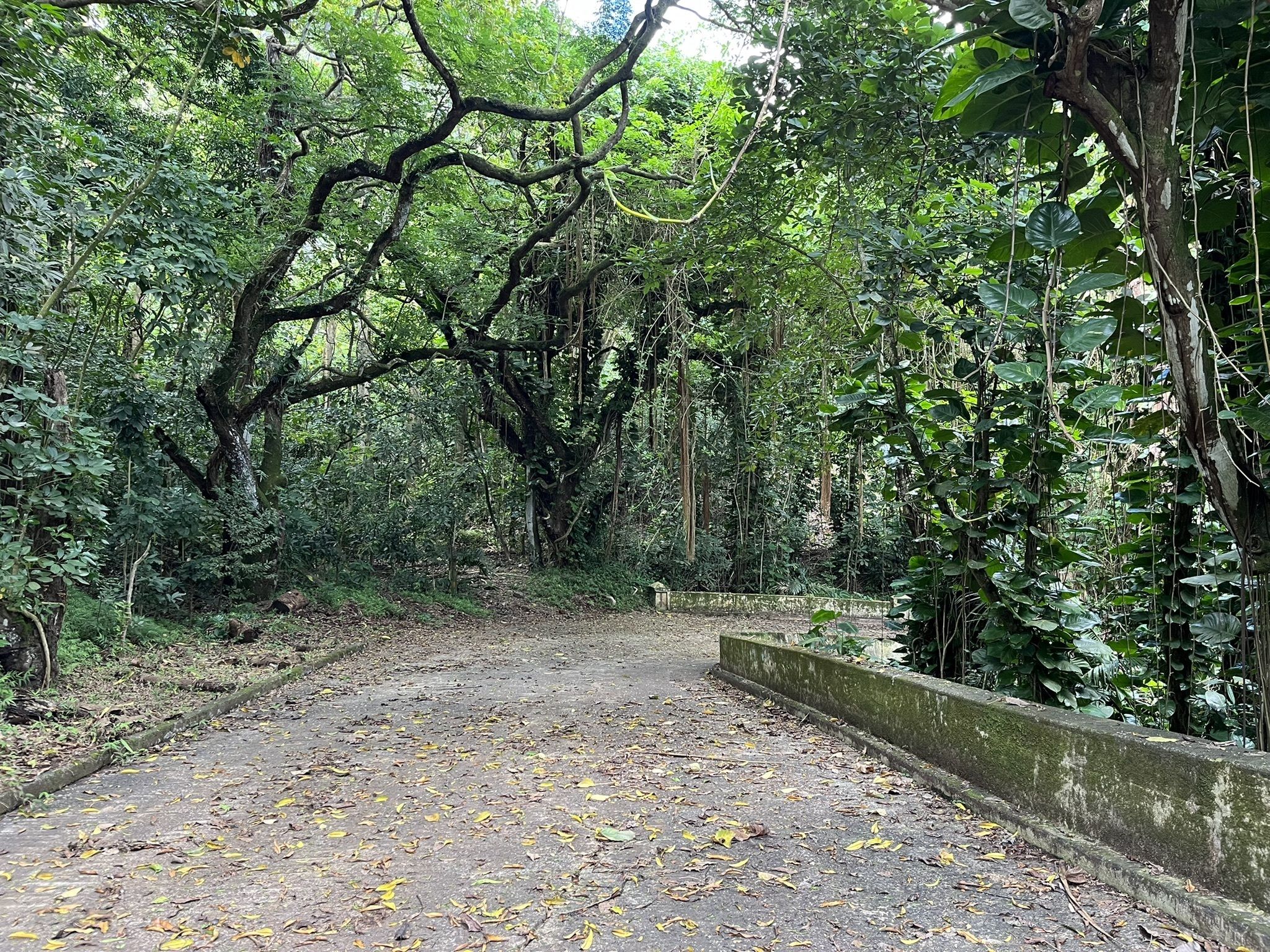 Likeke Falls Trail