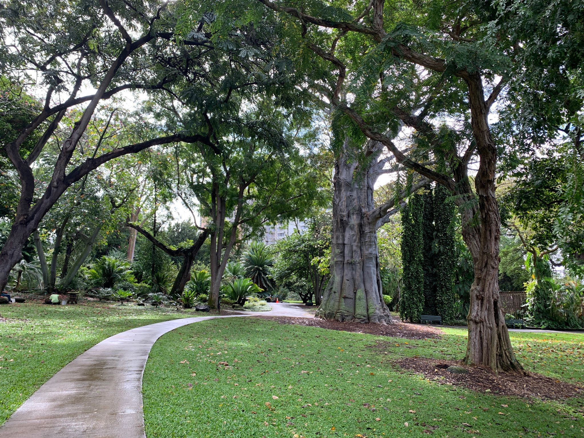 Foster Botanical Garden