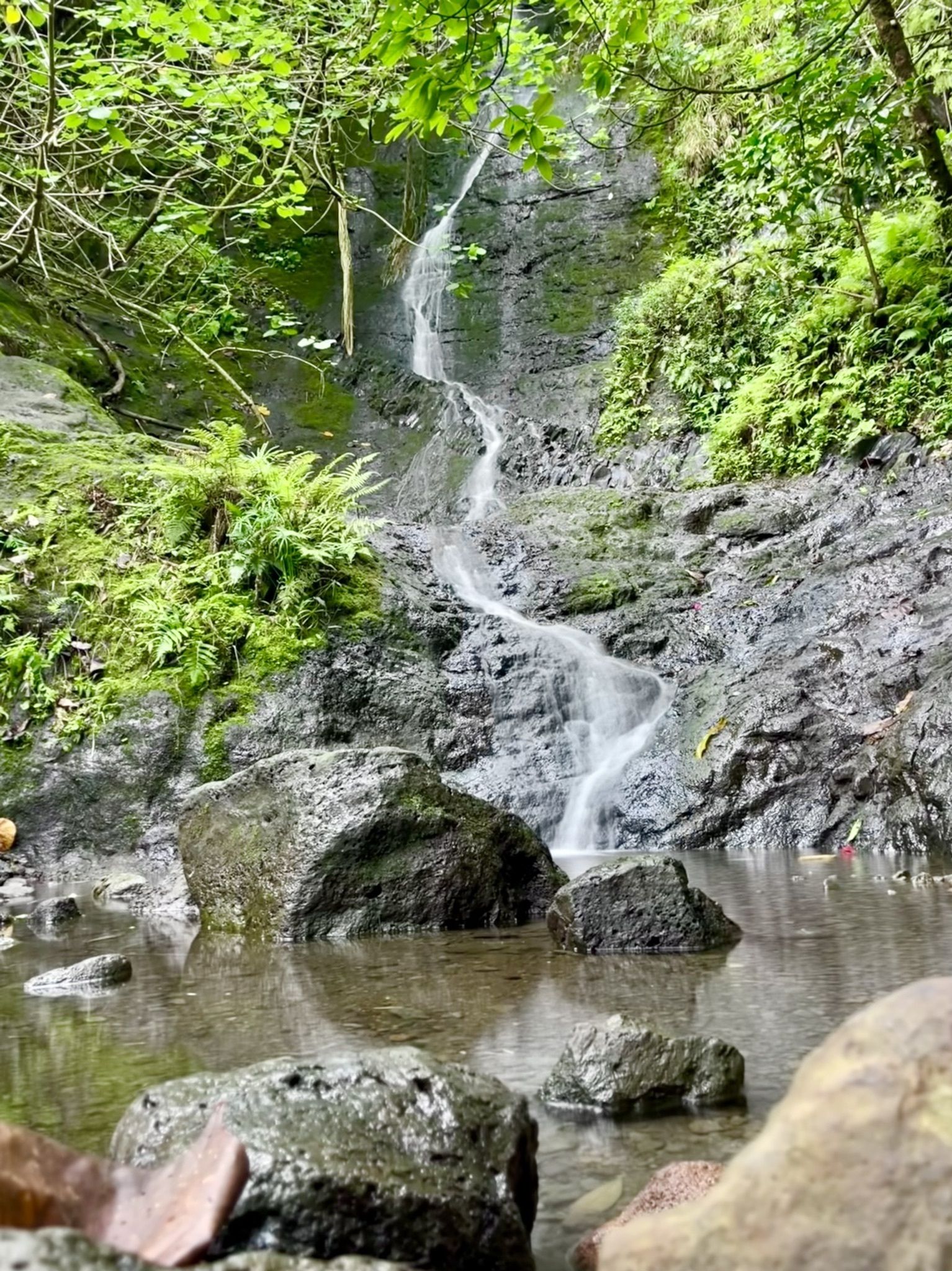 Likeke Falls Trail