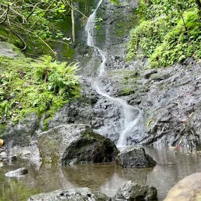 Likeke Falls Trail