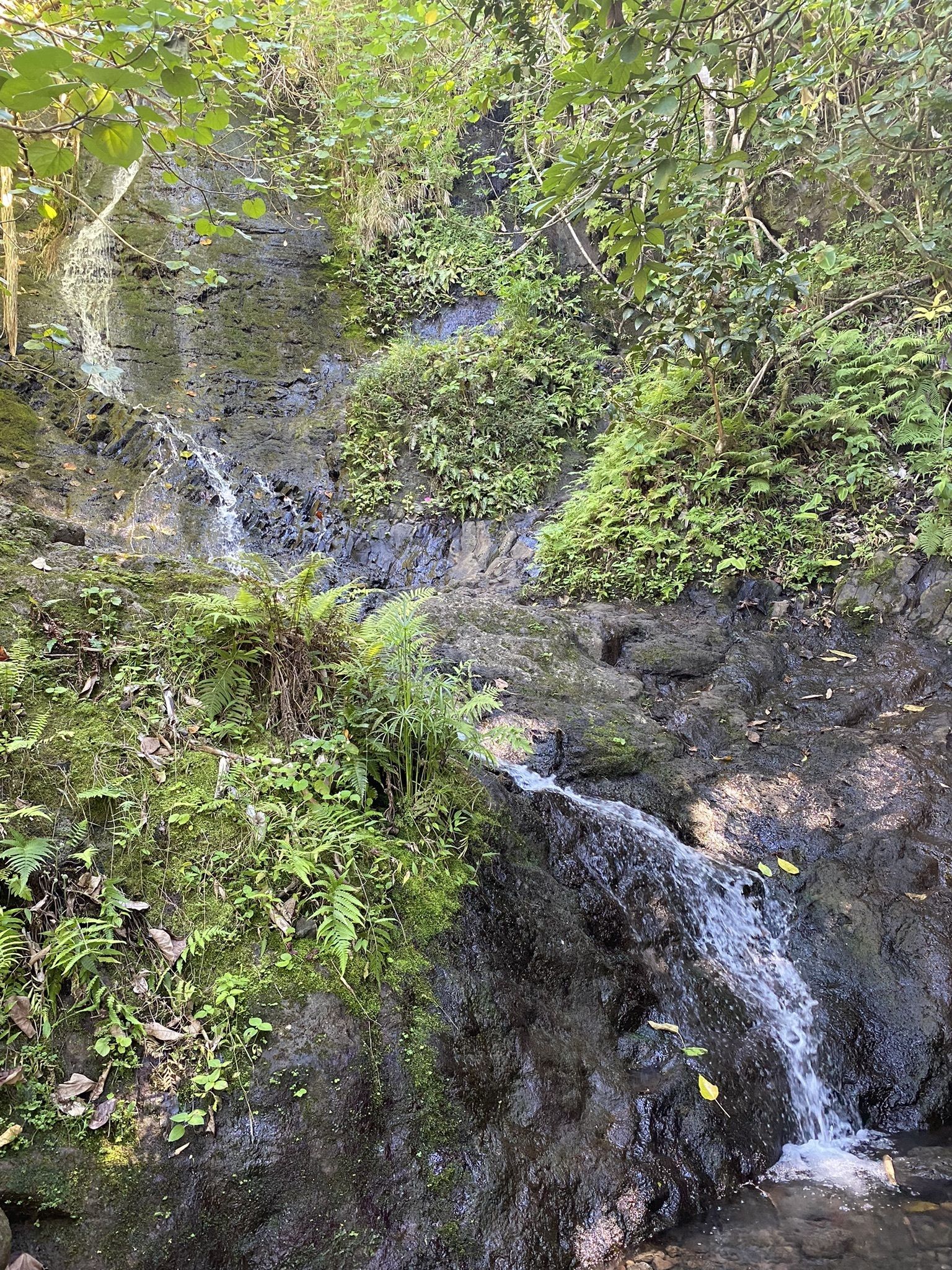 Likeke Falls Trail